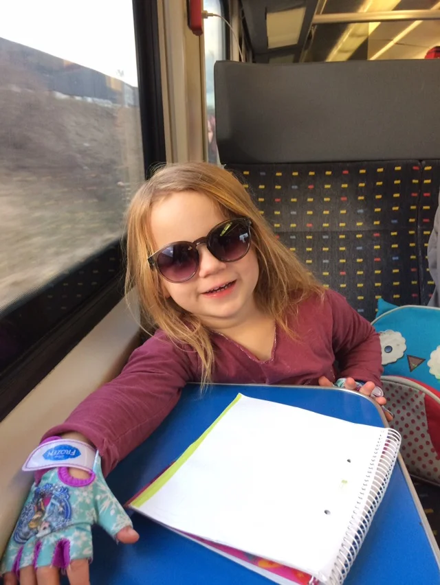Train to Saas-Fee