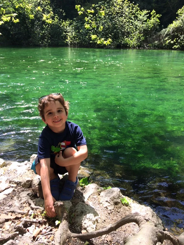 Fontaine-de-Vaucluse's River of Dreams