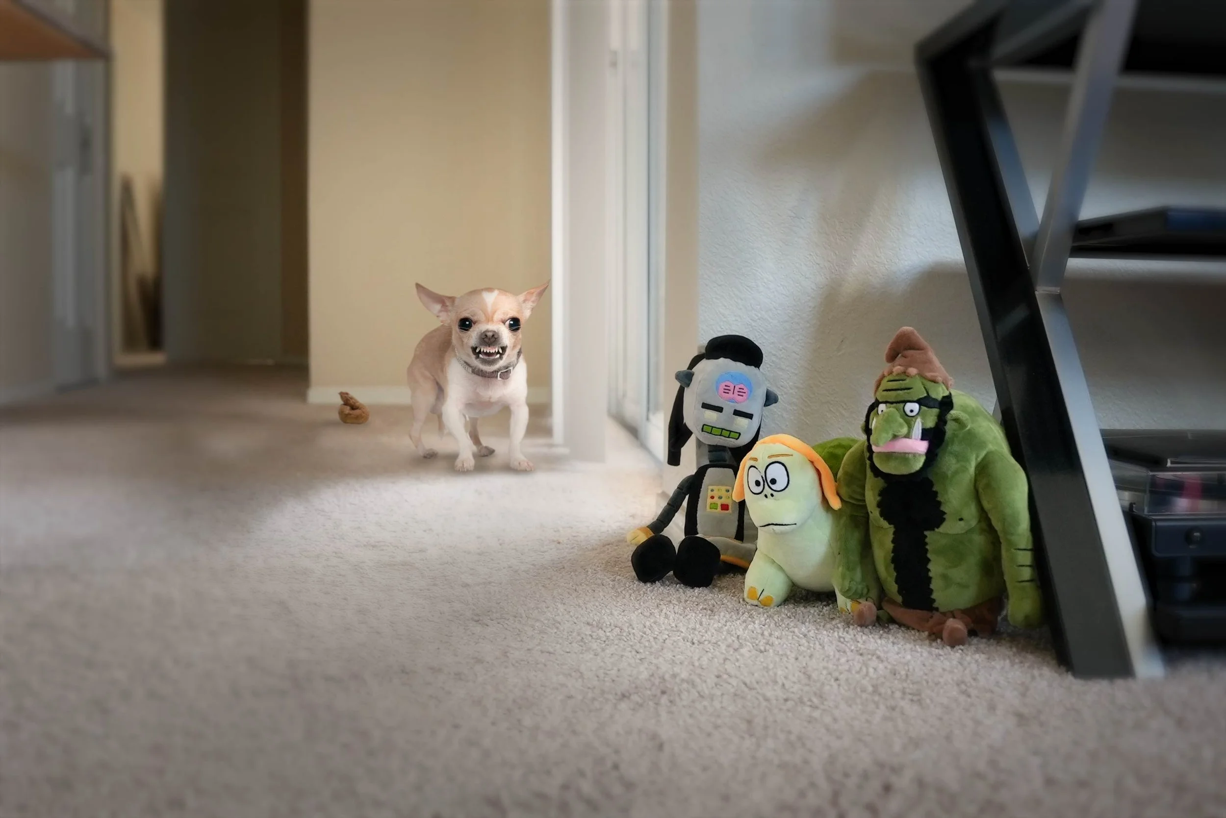 Plushies&Dog2.jpg