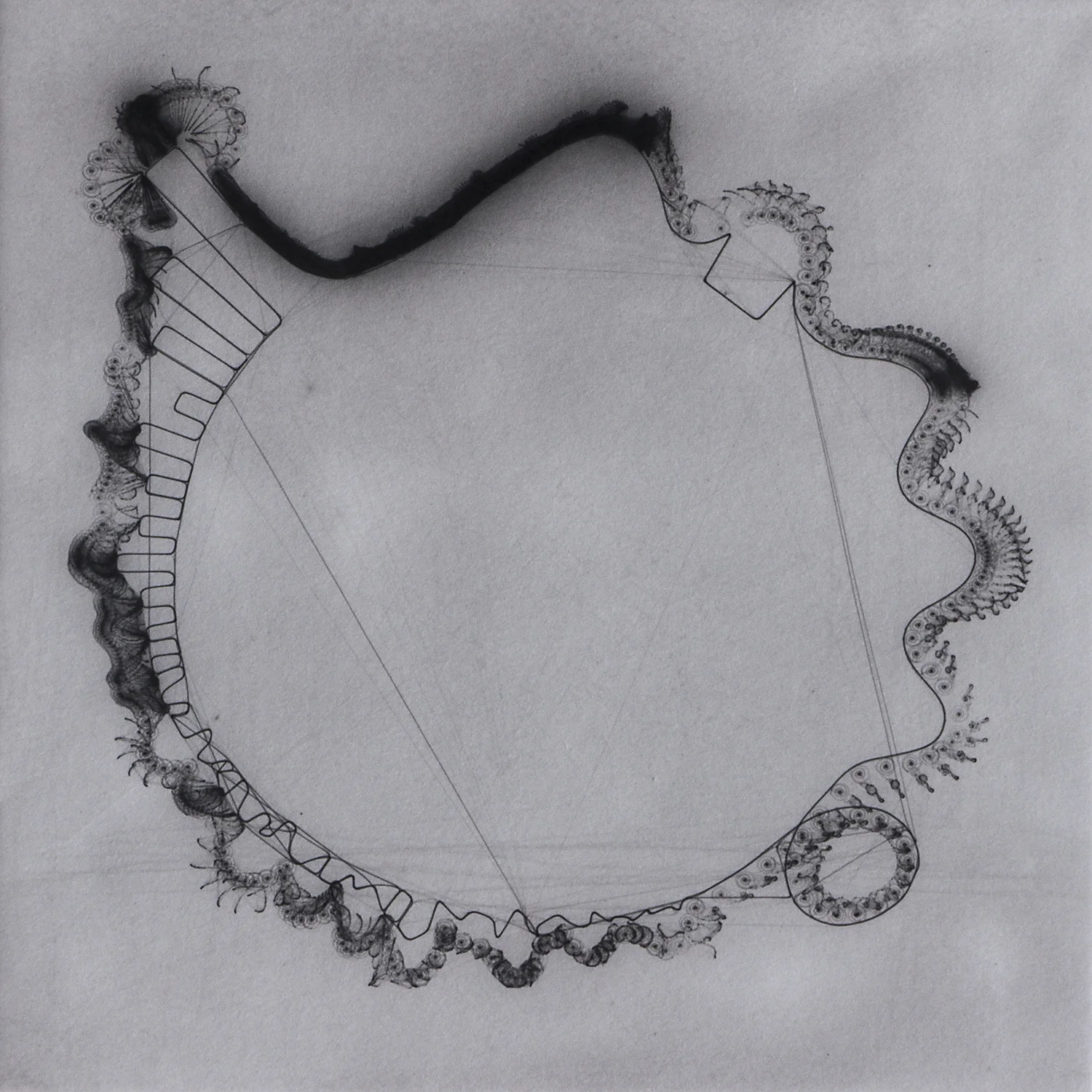 SNAIL TRAIL cycle , palladium light drawing, 2016