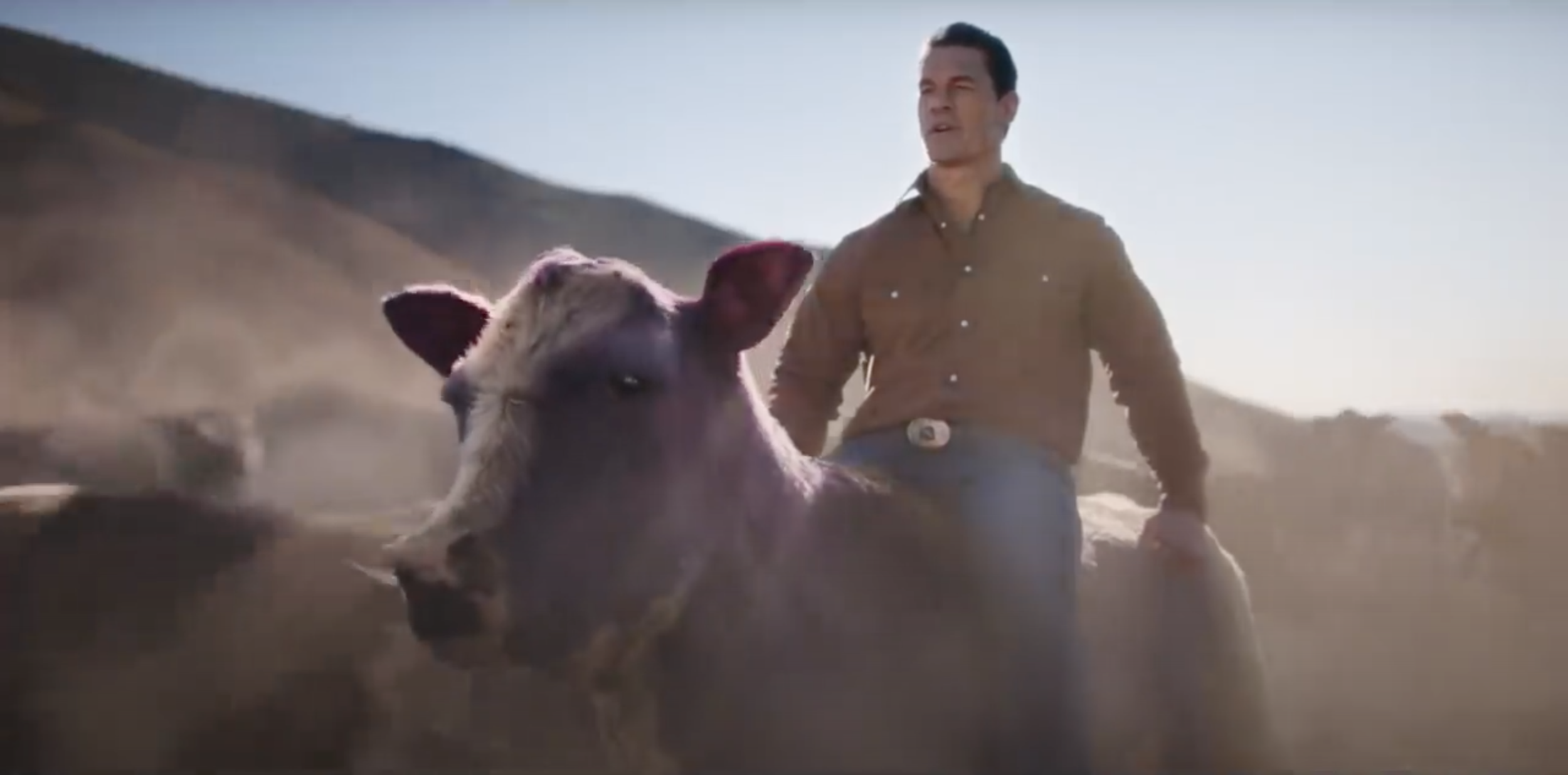 Experian Stampede JC_03.png