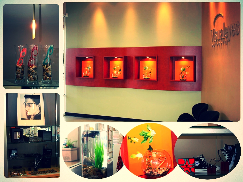 Visual Eyes Optometry Store Display