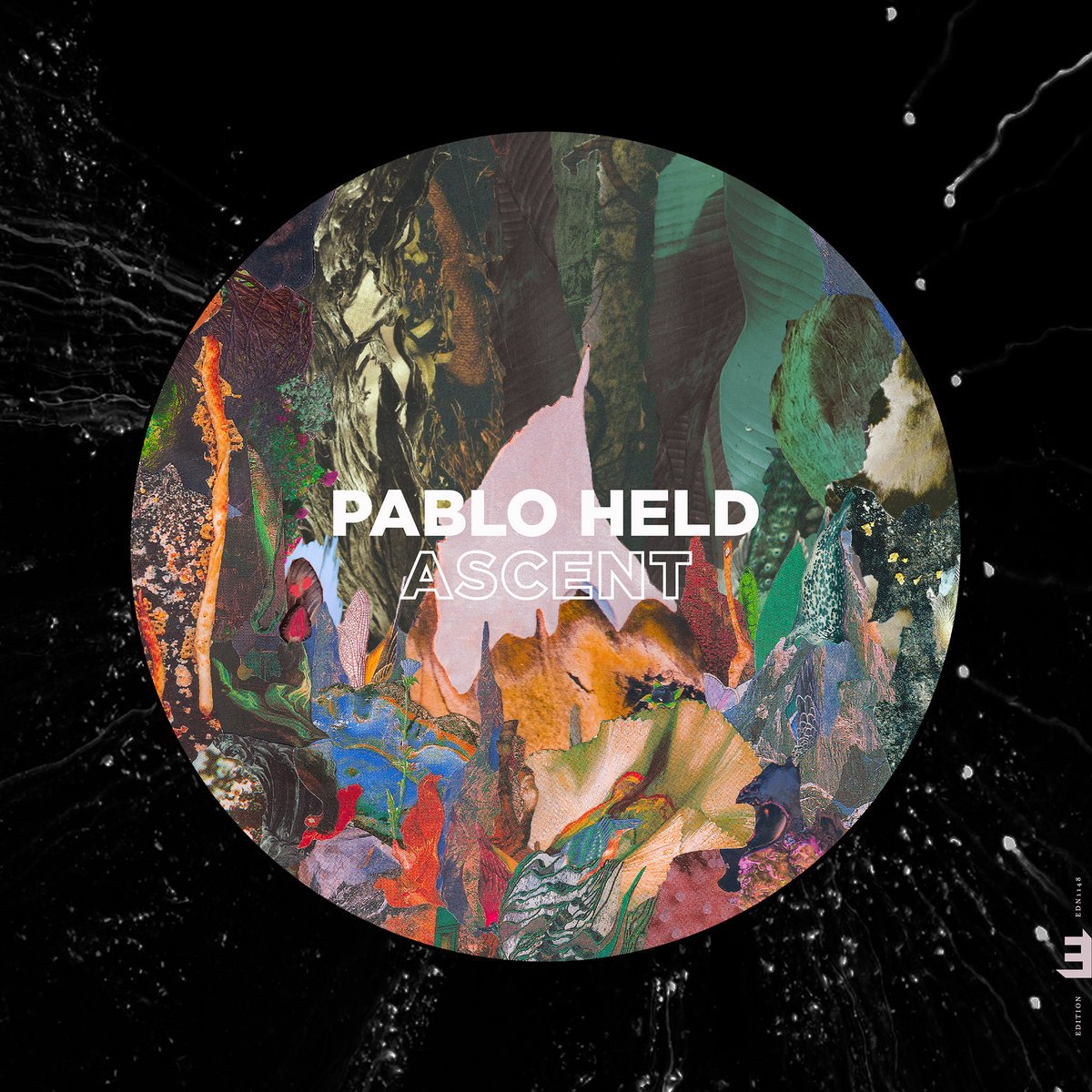 Pablo Held - Ascent.jpg