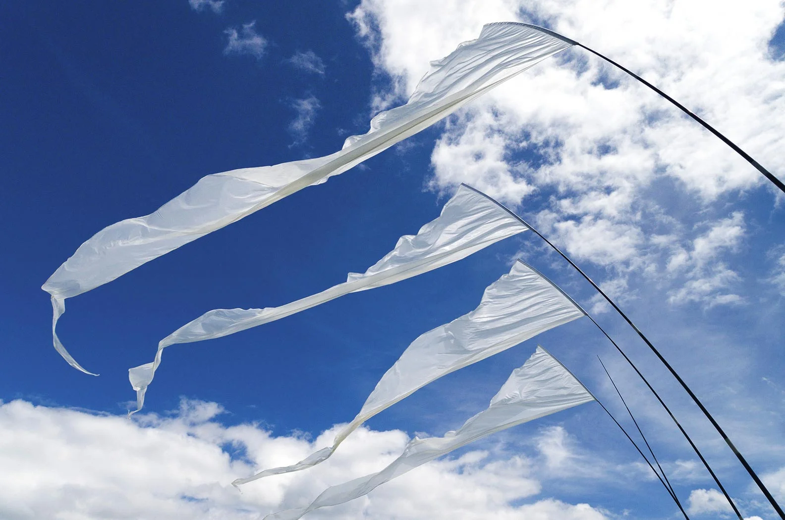 bigstock-Kite-Flags-73331728-copy.jpg