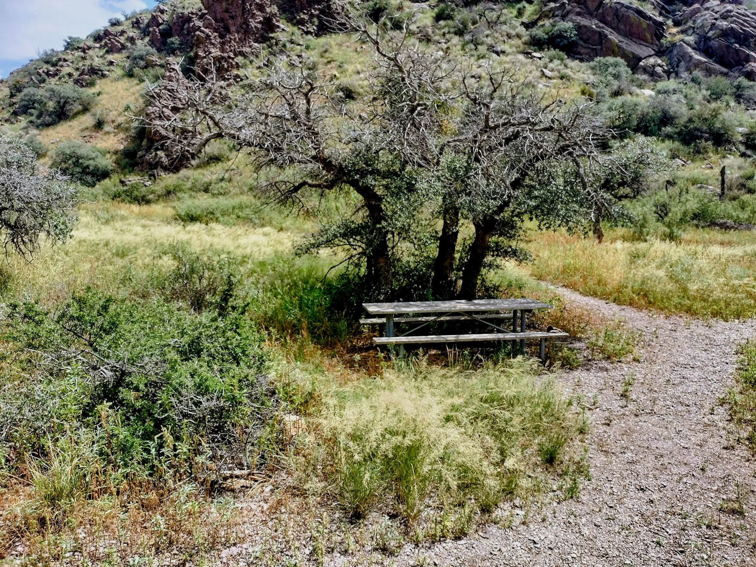 Soledad Canyon 1.jpg