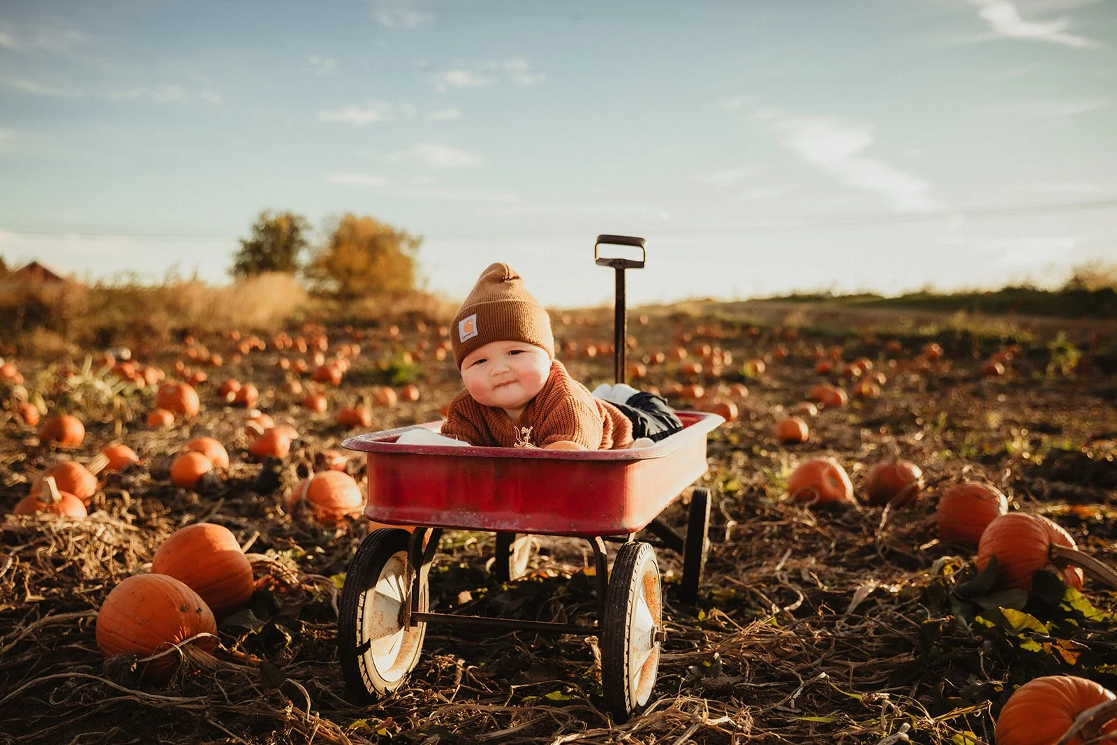 baby_in_wagon_at_pumpkin_patch