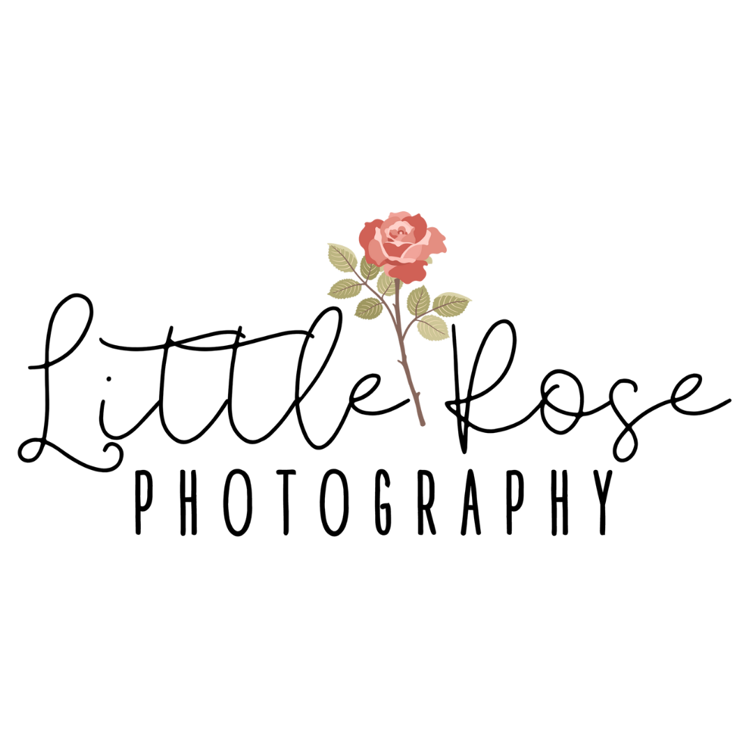 Little Rose Photography logo with a soft pink rose design for newborn, maternity, and family photography based in Sycamore Illinois.