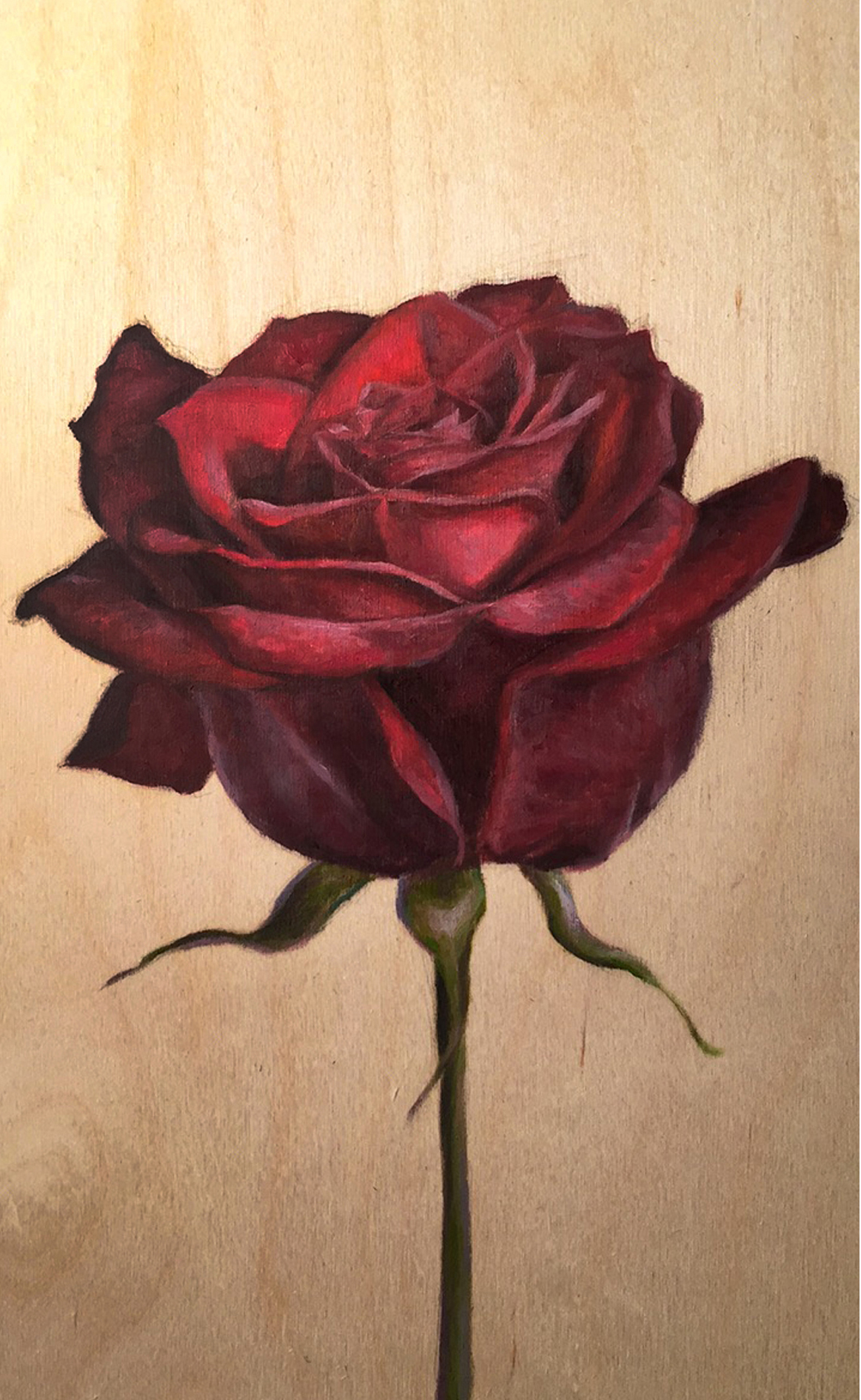 Red Rose_Christie Snelson.jpg