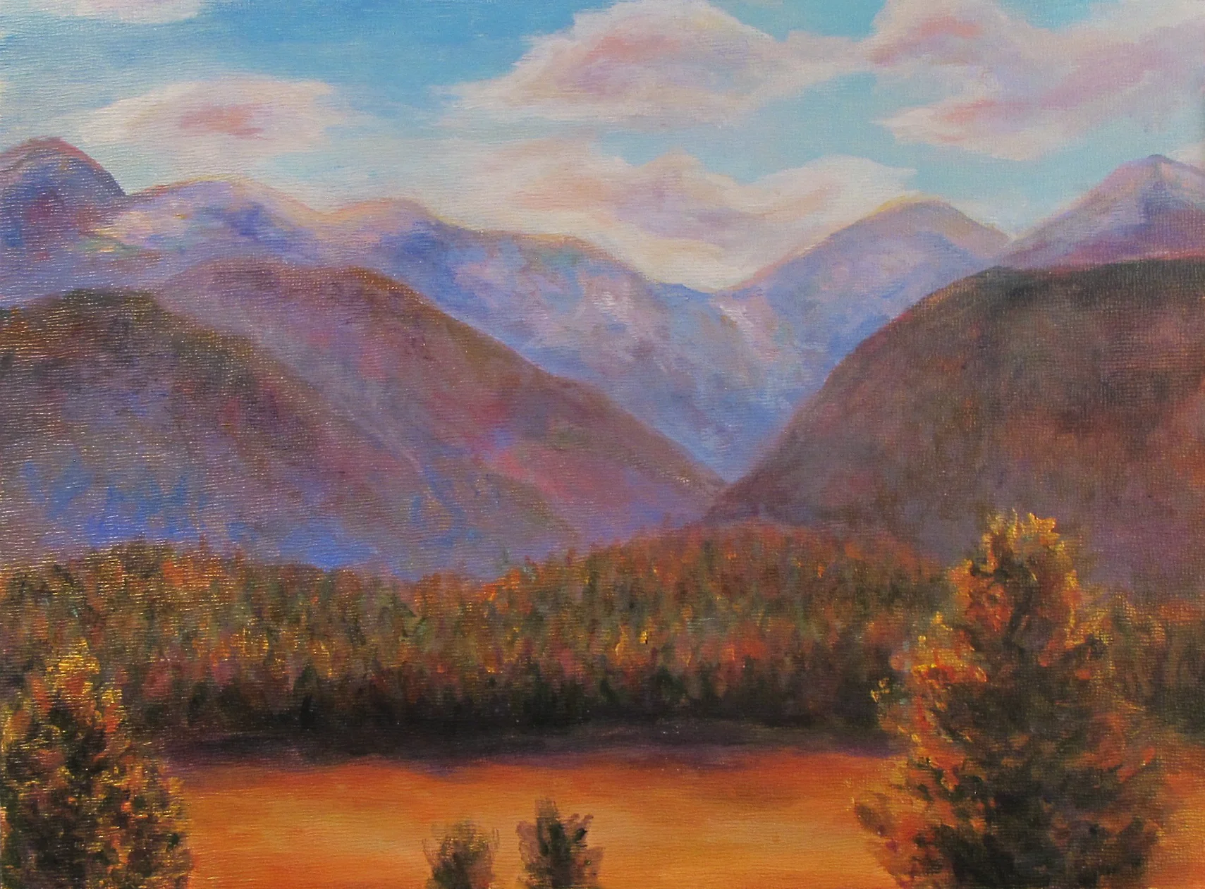 Plein Air_Landscape Study_Snelson.jpg
