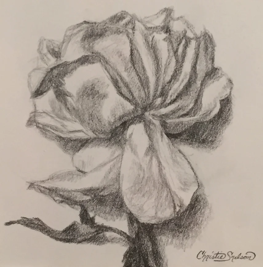drawing_flower_cropped_christie snelson.jpg