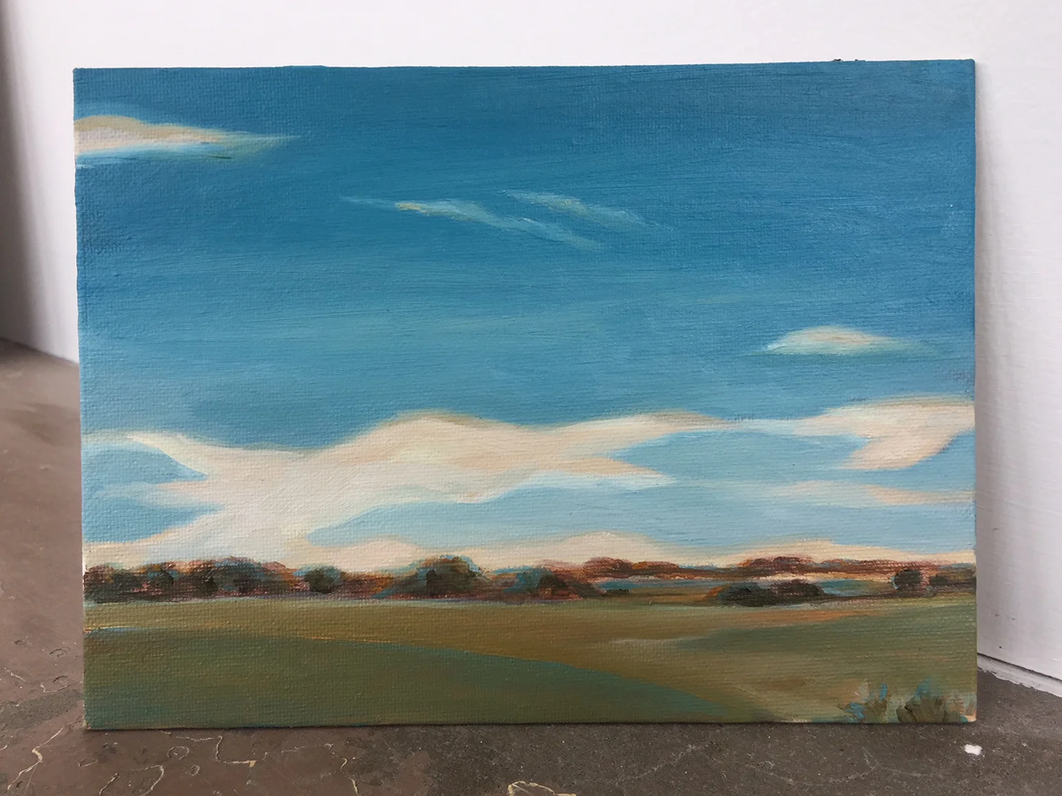 ozarks_landscape_abstract_study_christie snelson.jpg