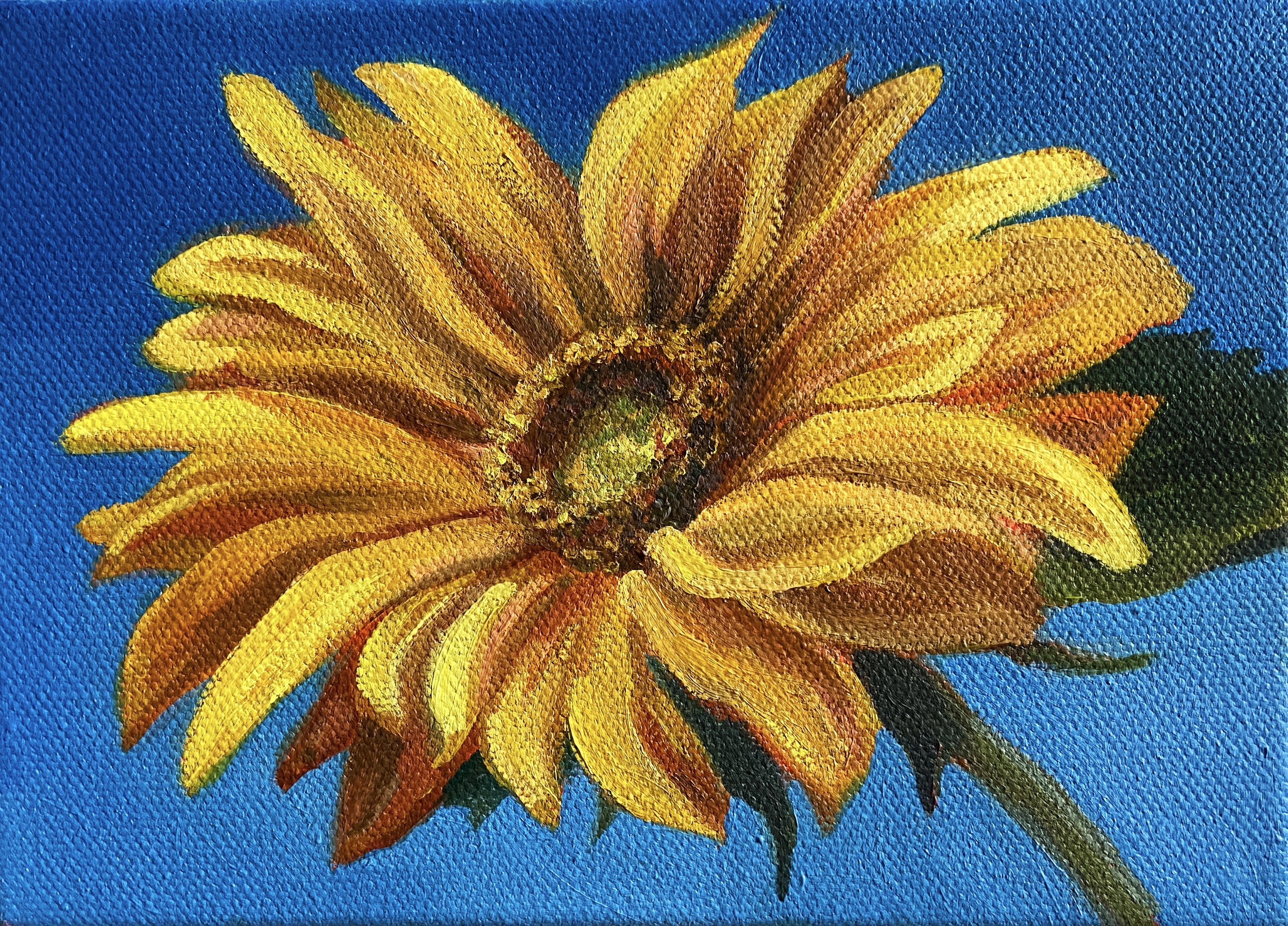 sunflower_edited.jpg