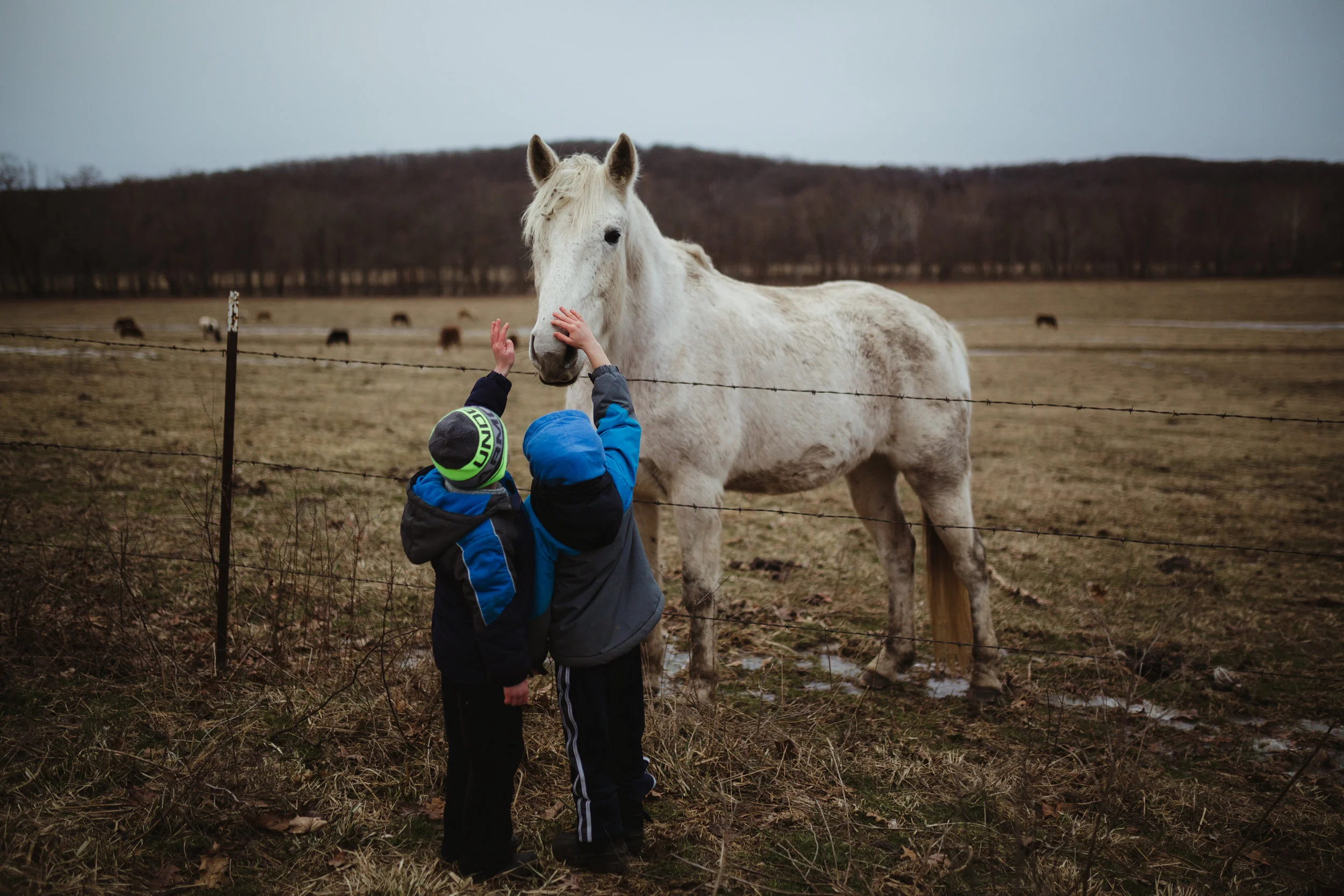 2019 Week 4-52.jpg