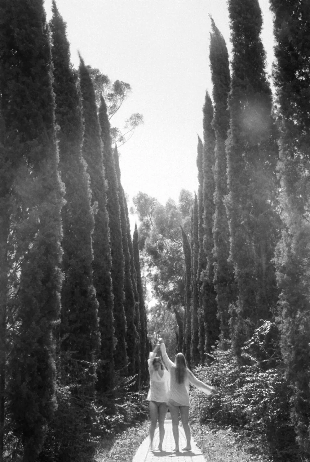 The Dance, Lotusland