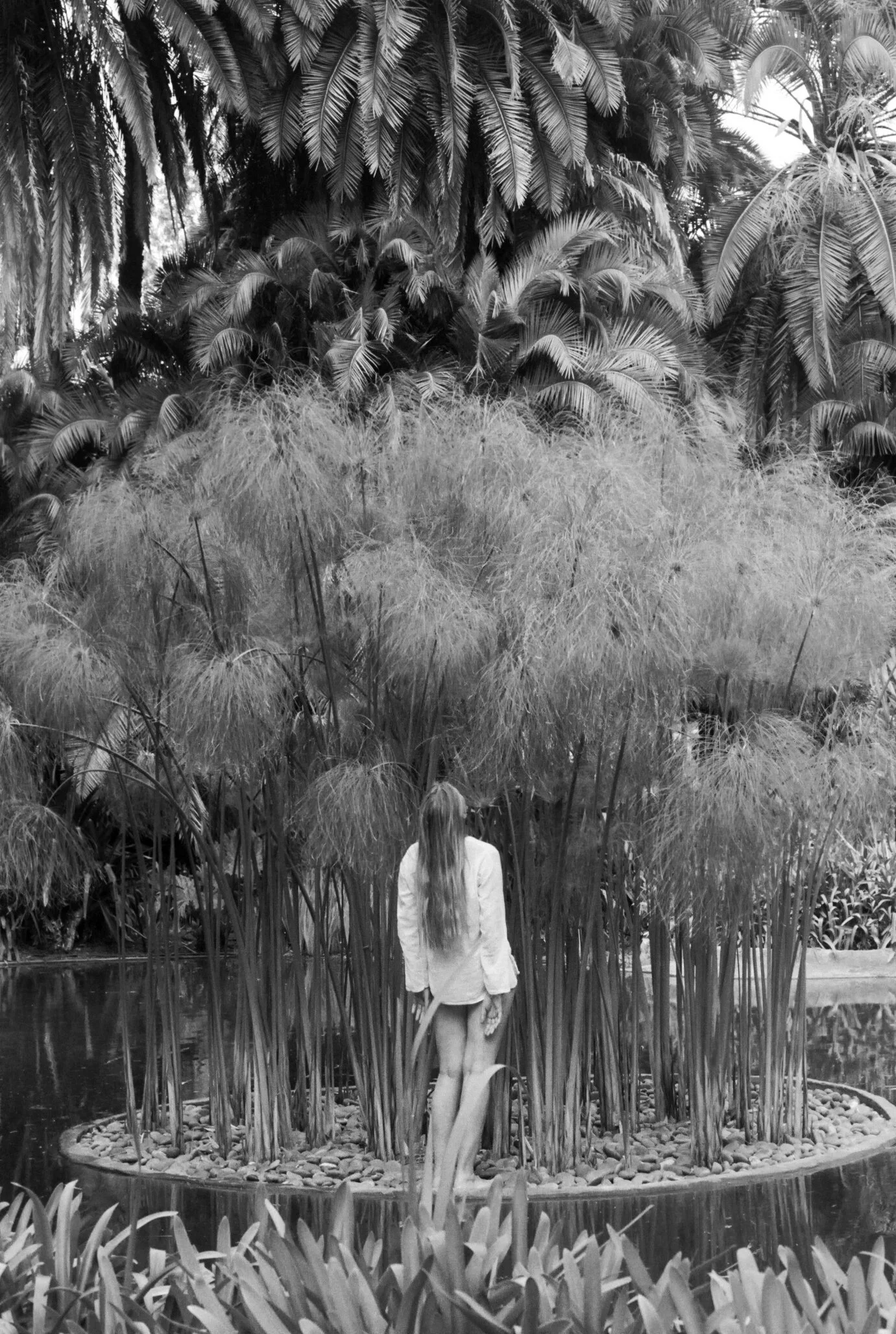Lotusland