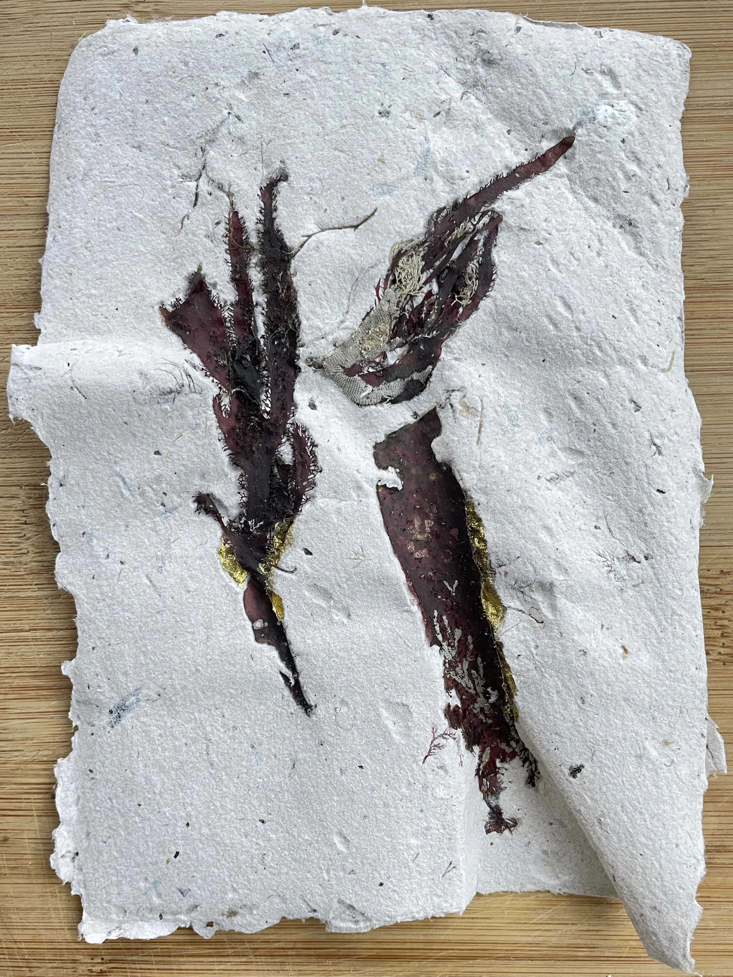 Seaweed print series