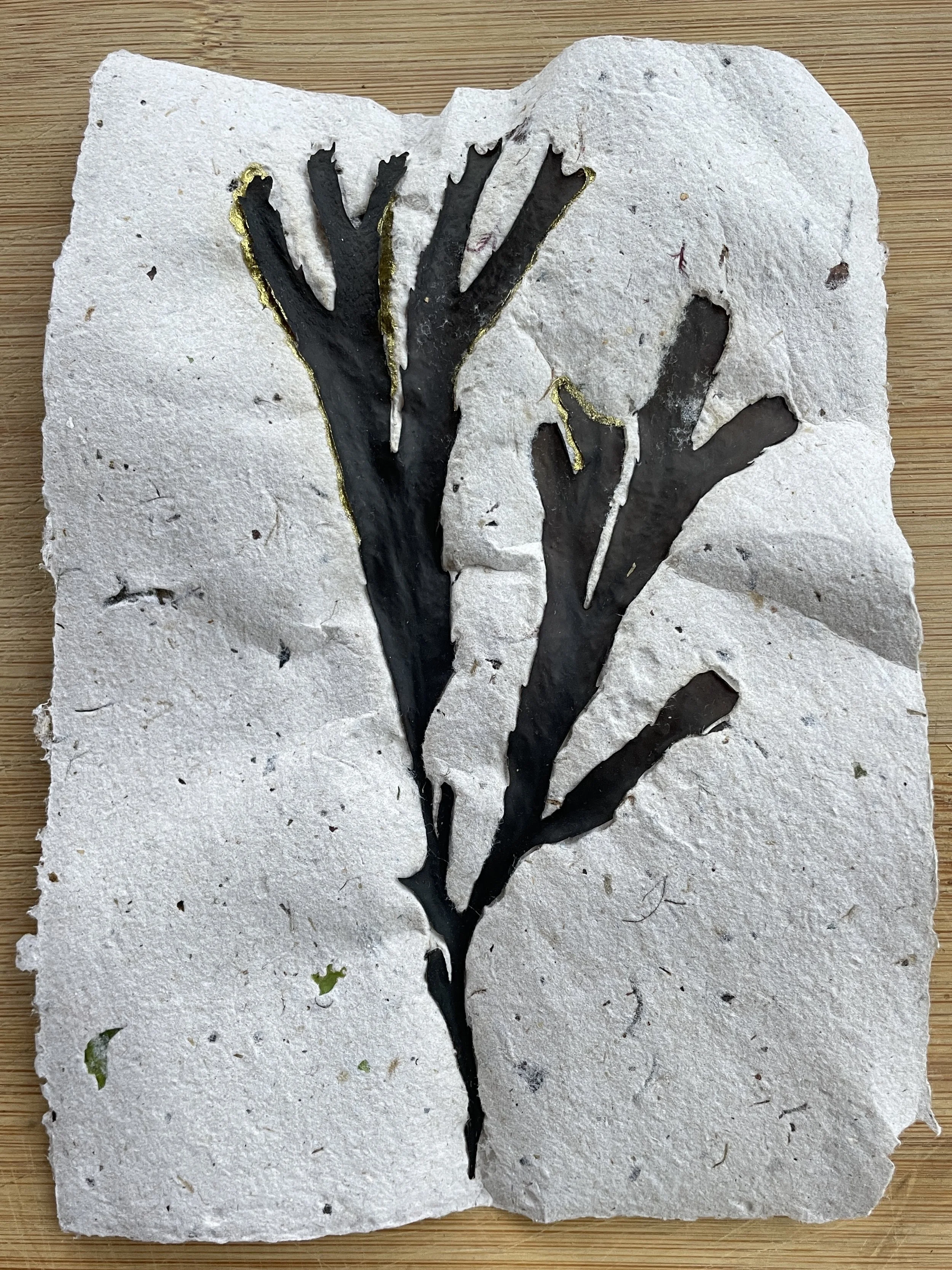 Seaweed print series