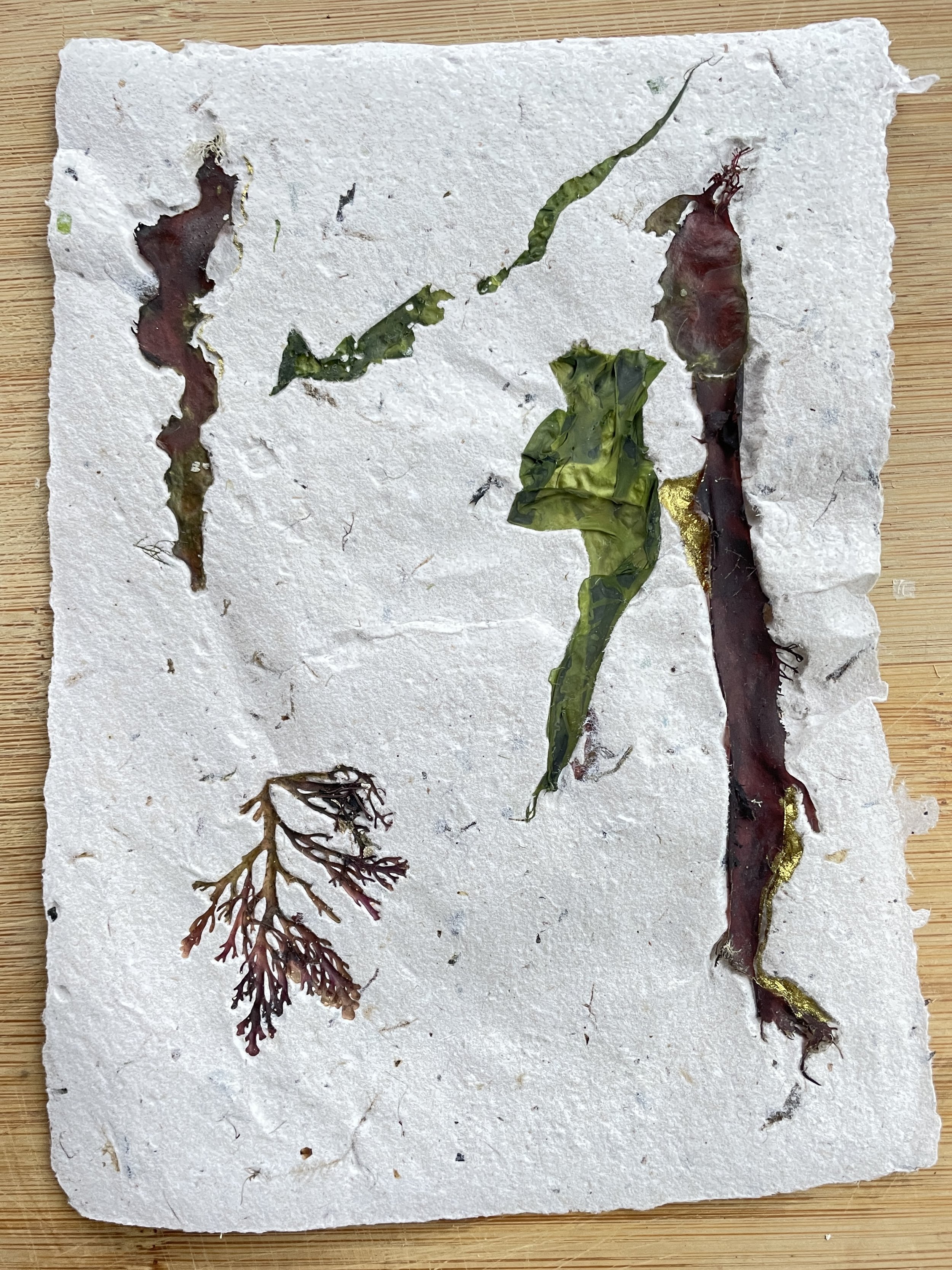 Seaweed print series