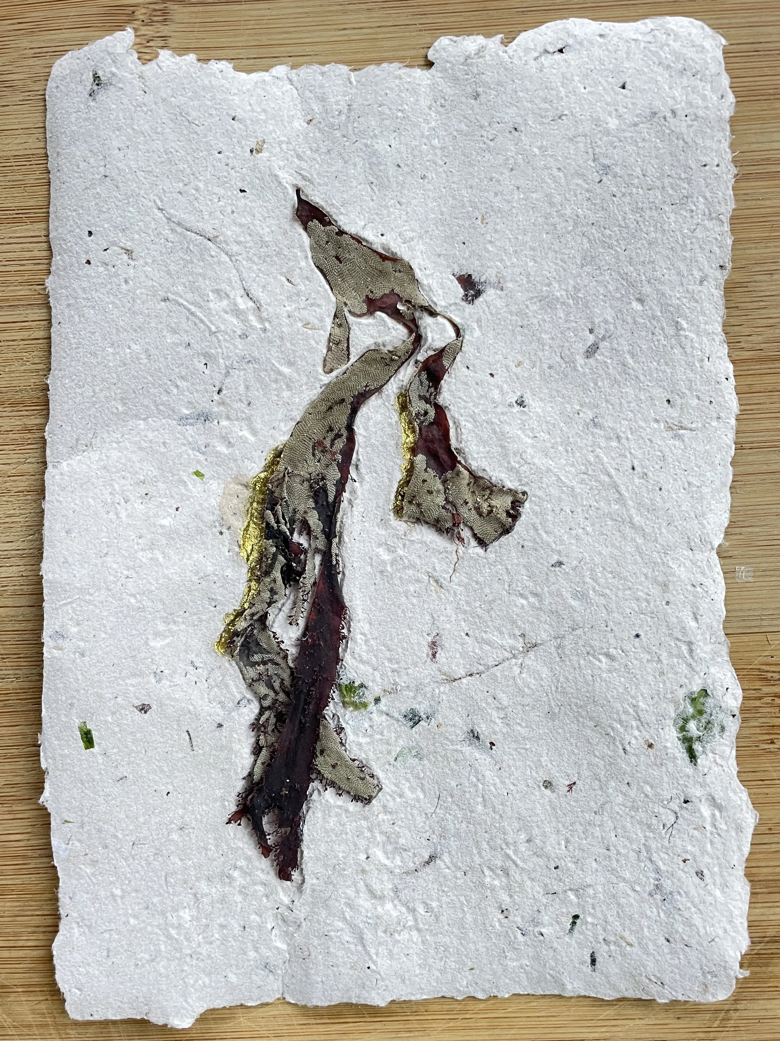 Seaweed print series