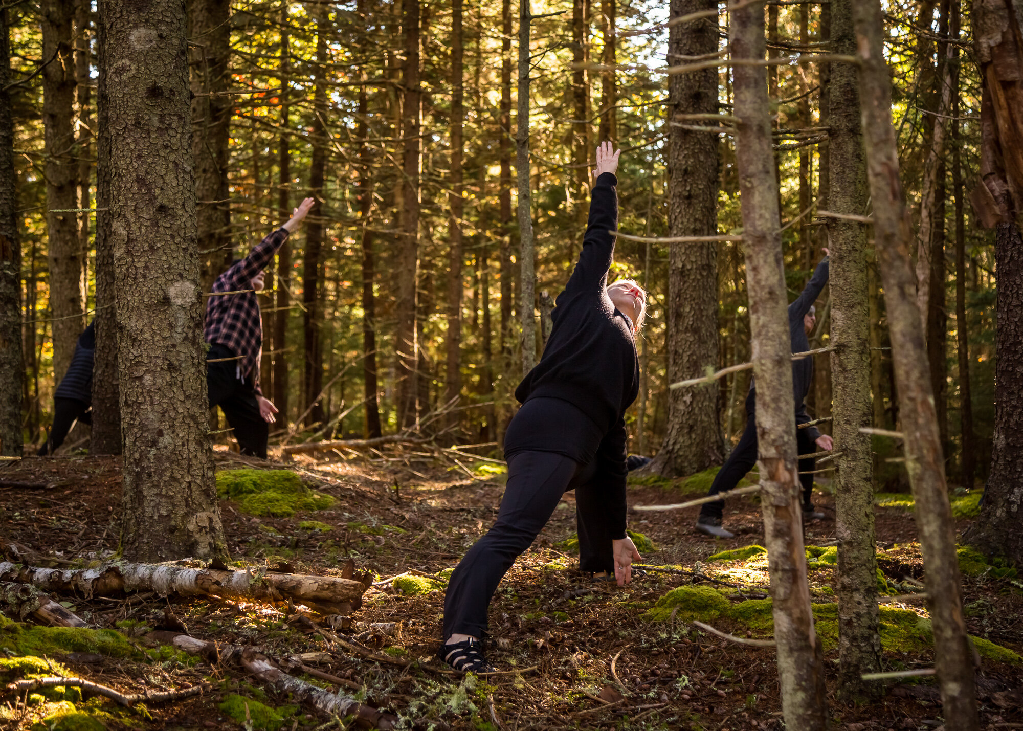 ToniSmall_Forest_Yoga_055_web.jpg