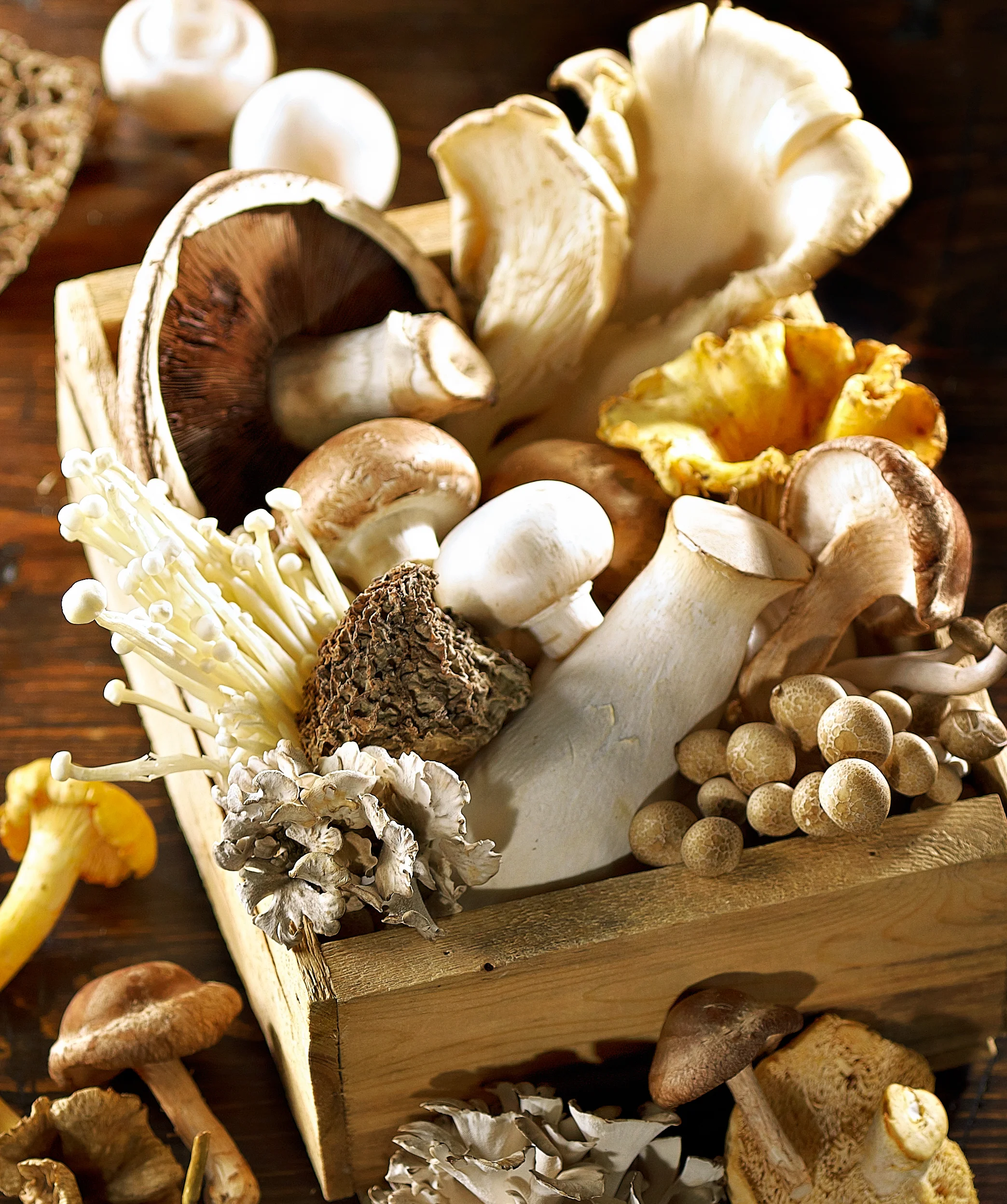 51906_Champignons.jpg