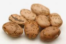 beans.jpg
