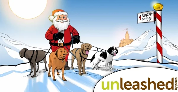 Santa a dogs .jpg