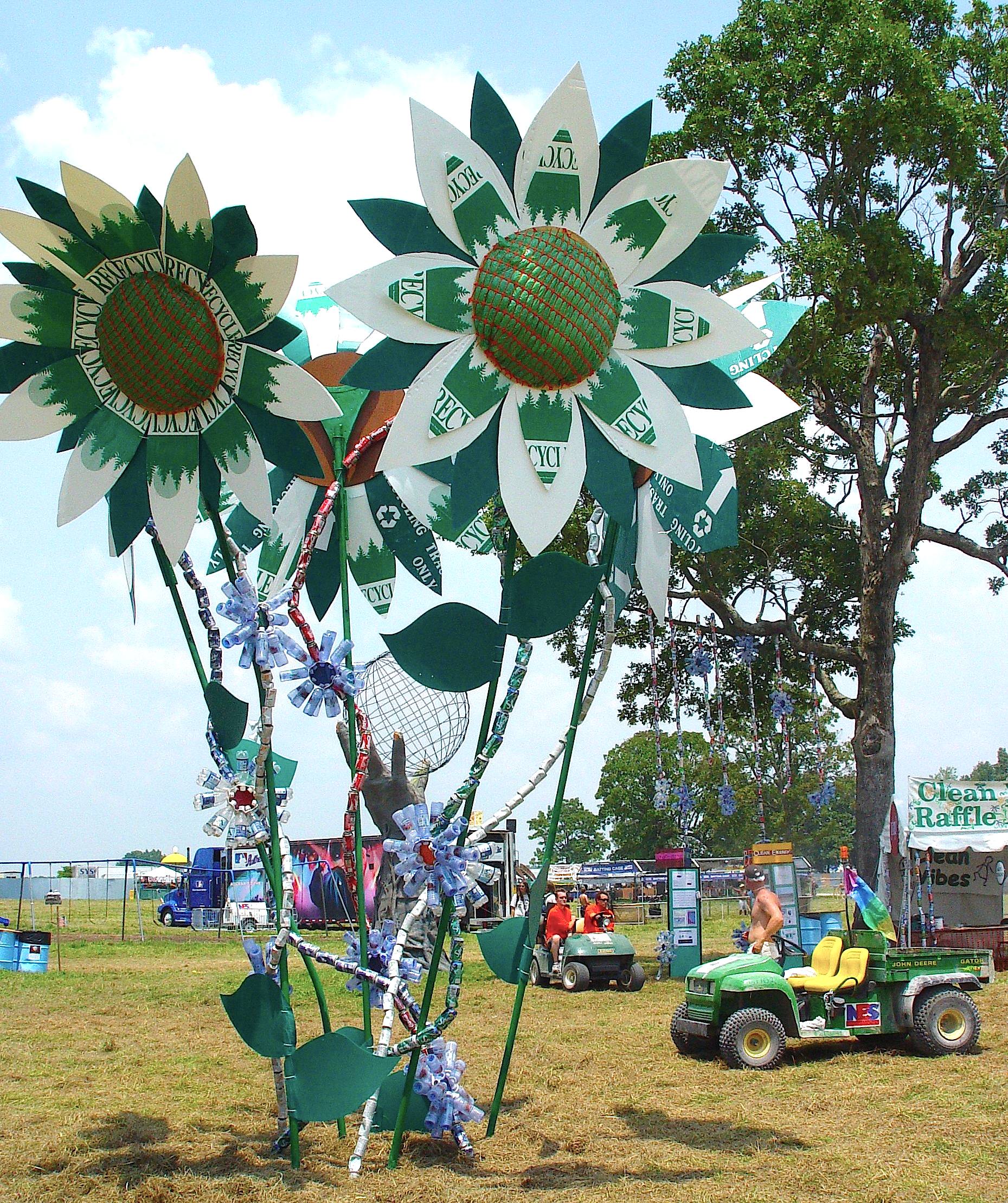 dalabil_Bona_flowers.jpg