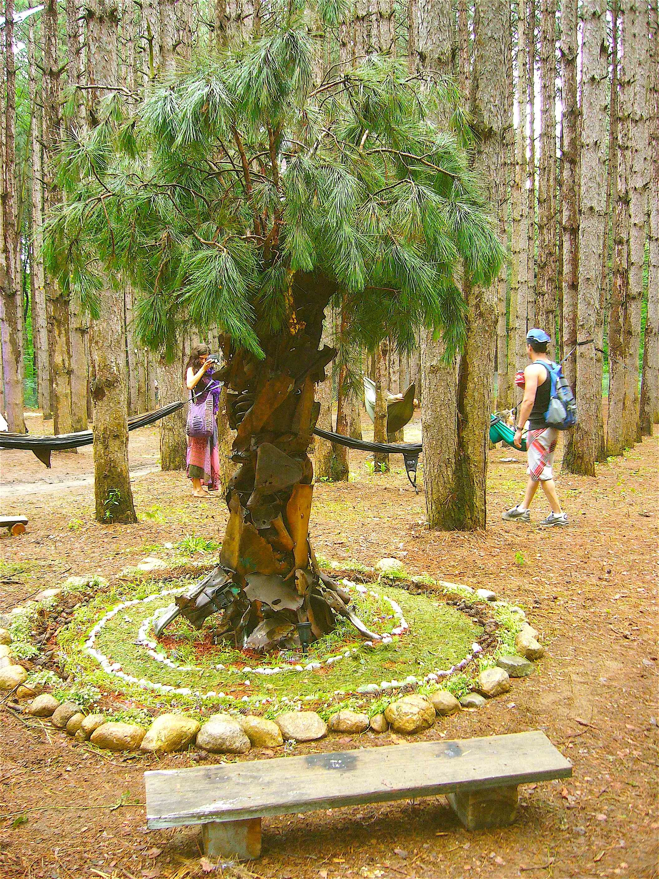 dalabil_Tree2.jpg