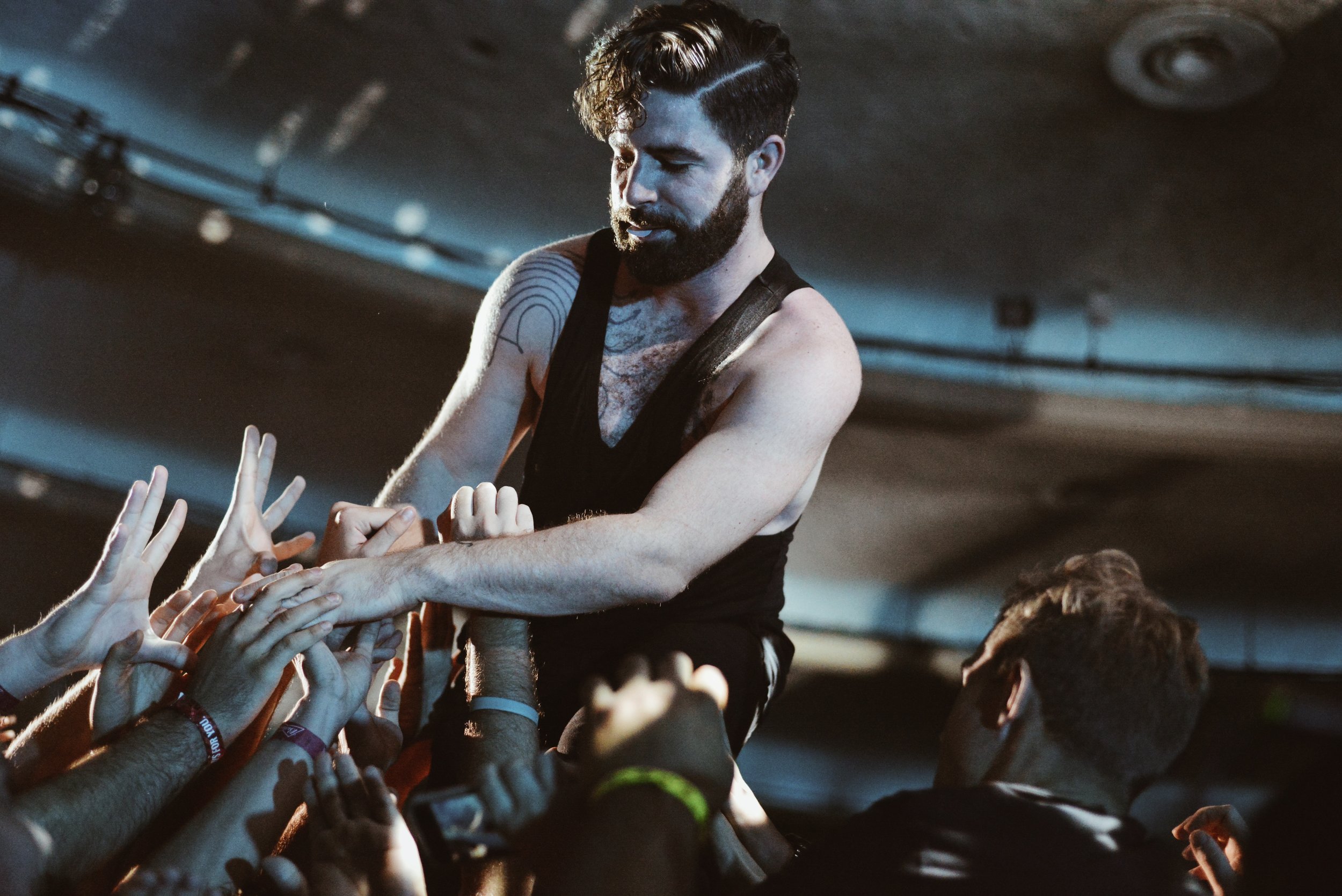 Foals