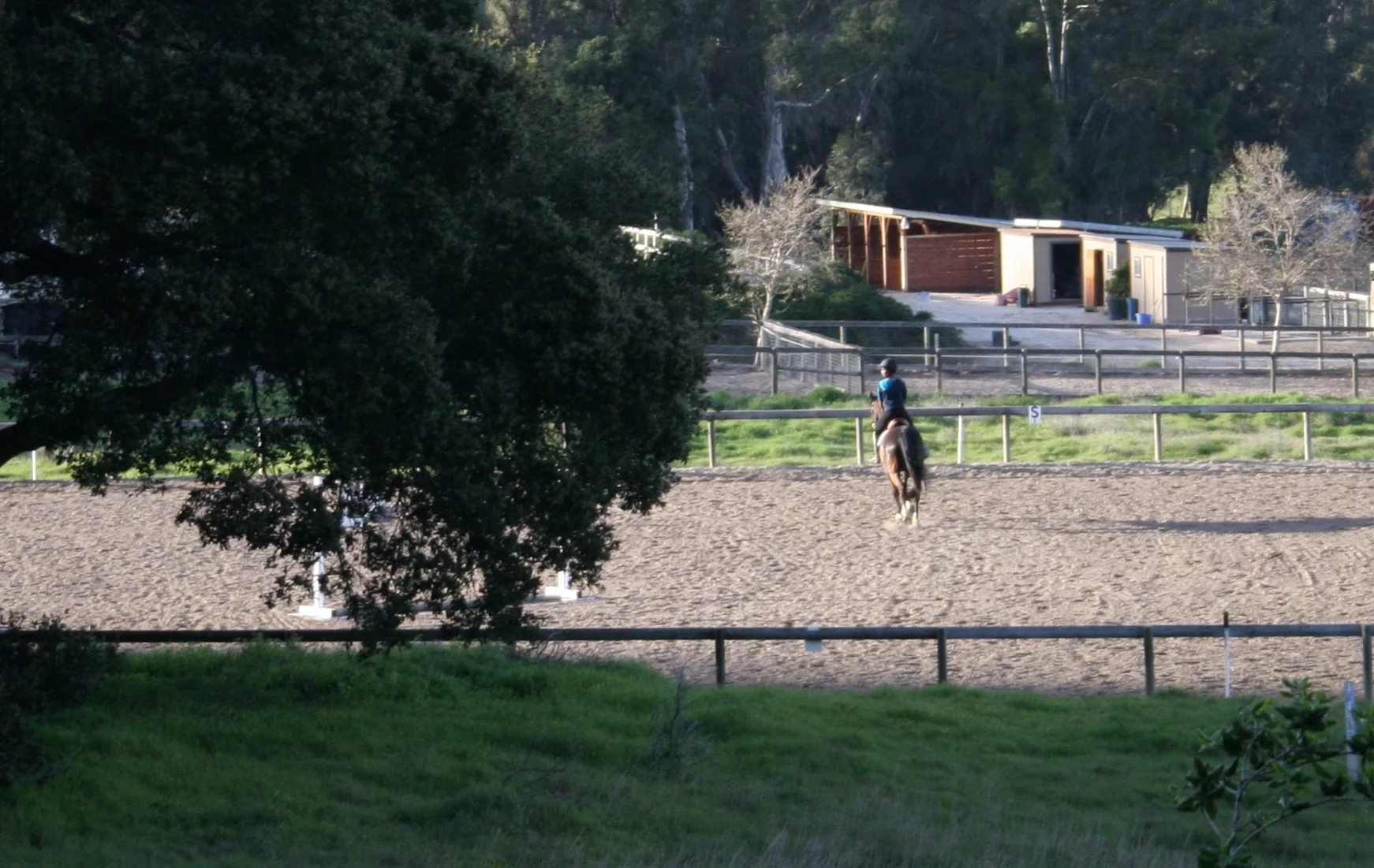 Riding — Oak Park Ranch