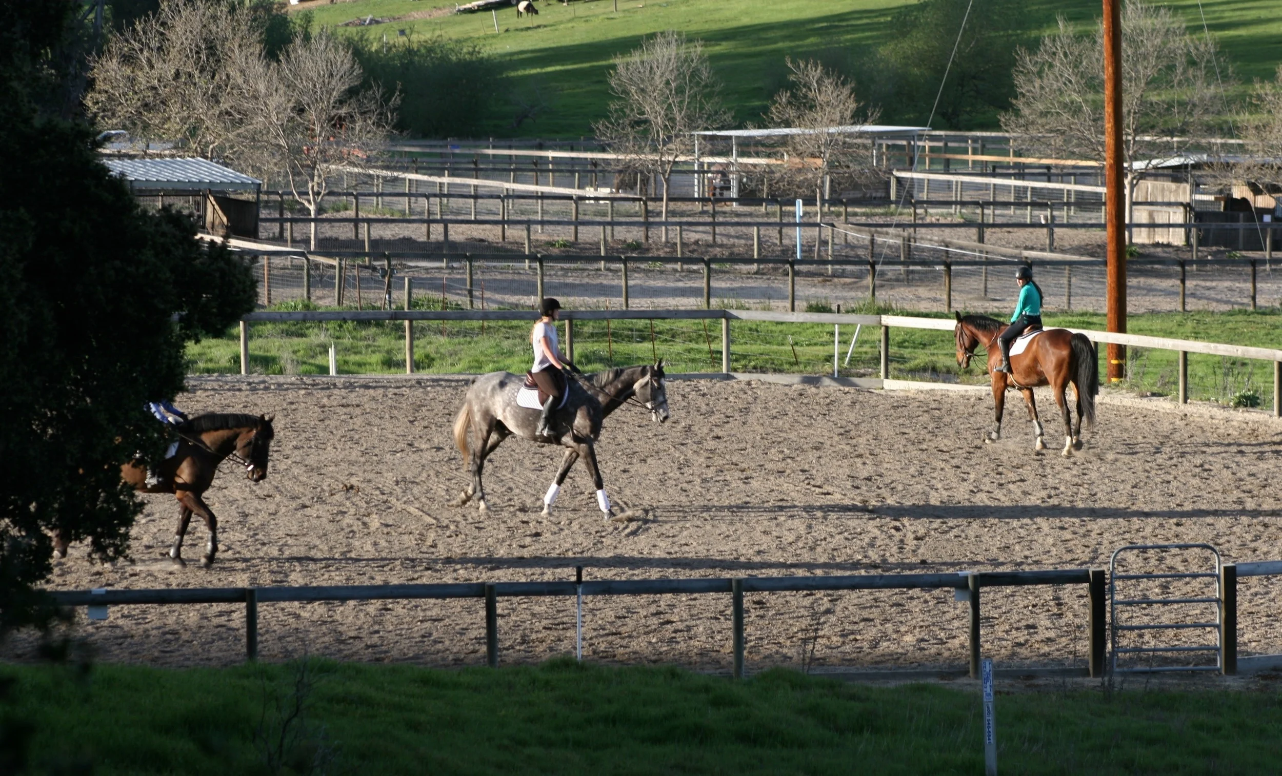 Riding — Oak Park Ranch