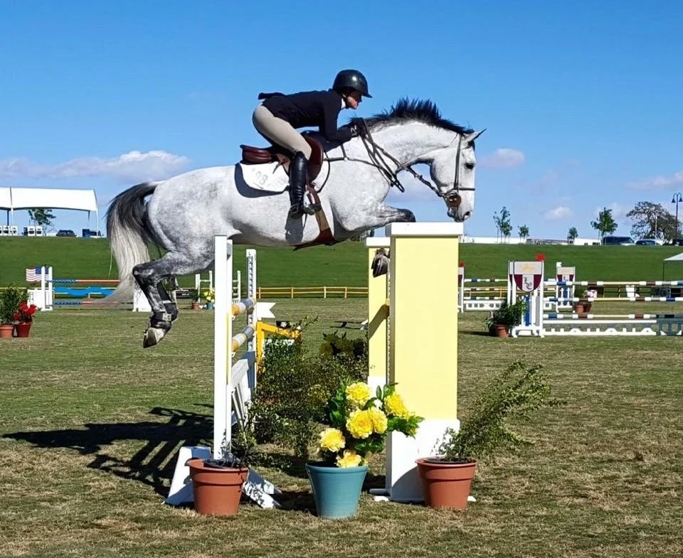 Training — Oak Park Ranch