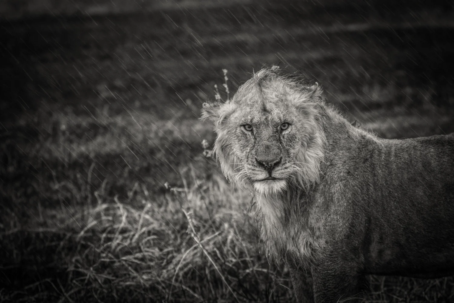 7N7A1278-Edit-2.jpg