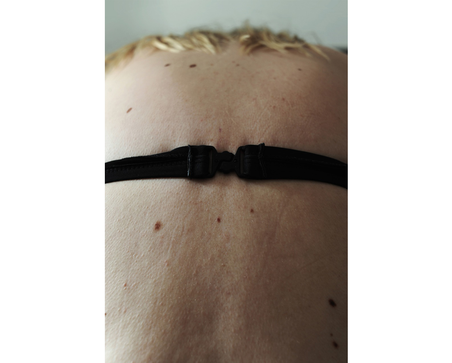 Moles, Lisbon, 2014
