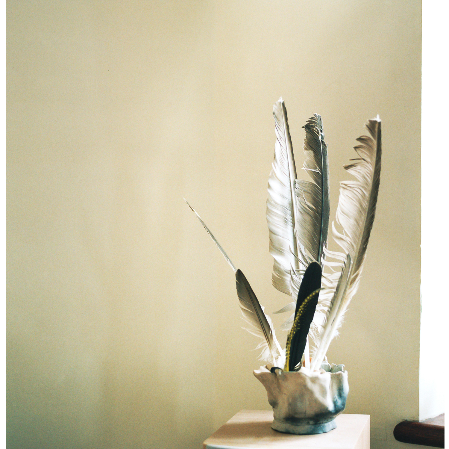 Feather Sculpture, Seaford, 2012