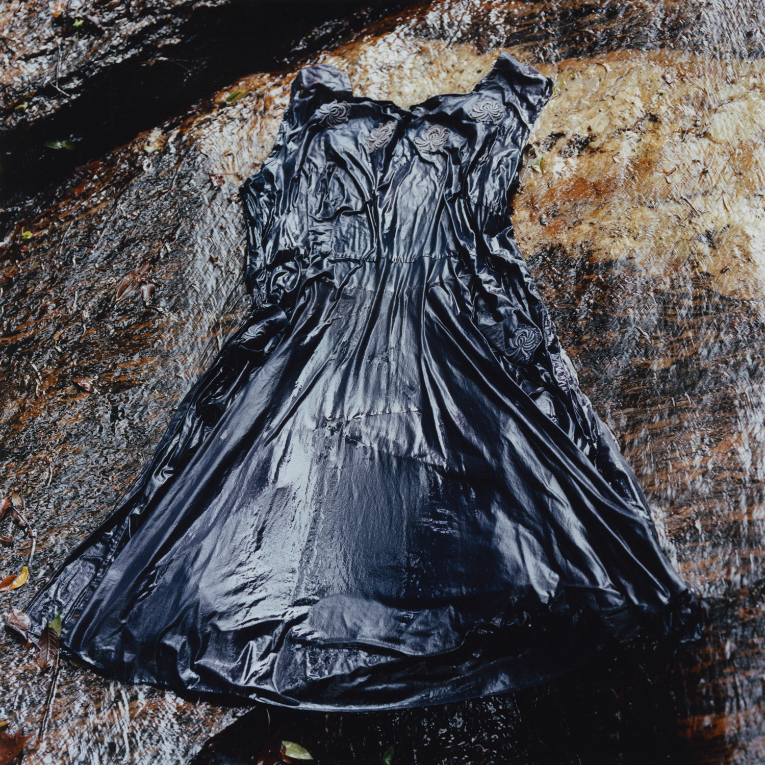 Remedios #11, 2014 from the series 'Levitation, Ice and the Limits of Reality'
