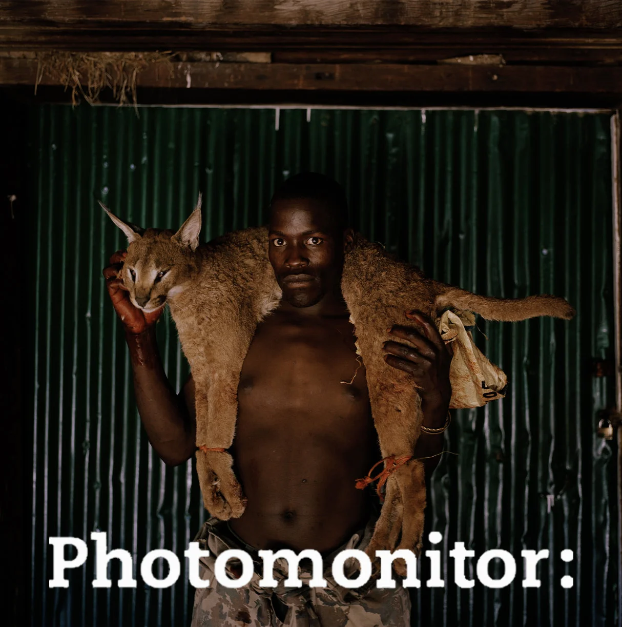 DC_PhotomonitorCover.jpg