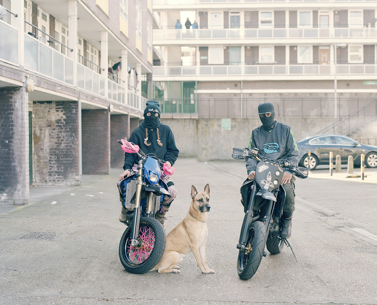 (Spencer Murphy) Naomi, Zeus and Izzy.jpg