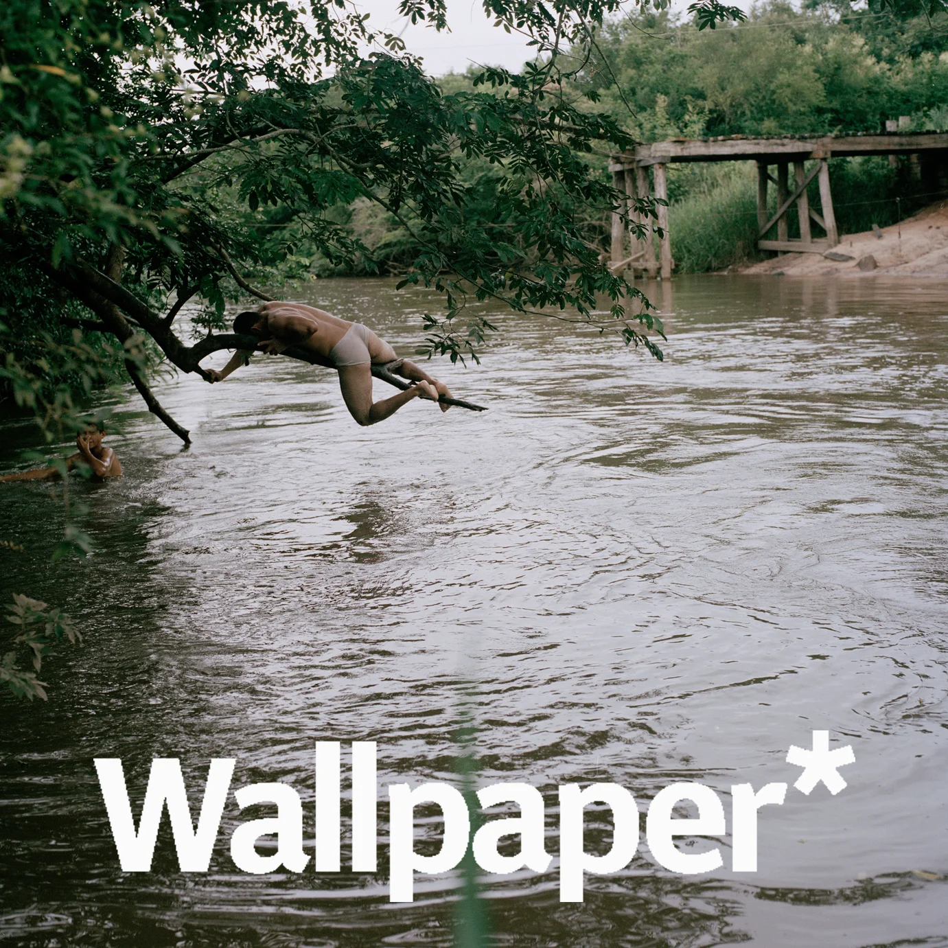 WALPP.jpg