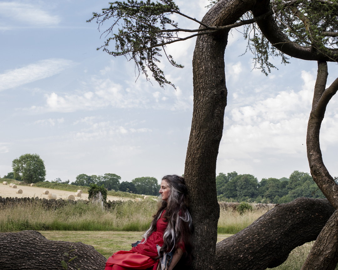 ‘Fallen Tree’ from the series ‘Trish Morrissey: a certain slant of light’