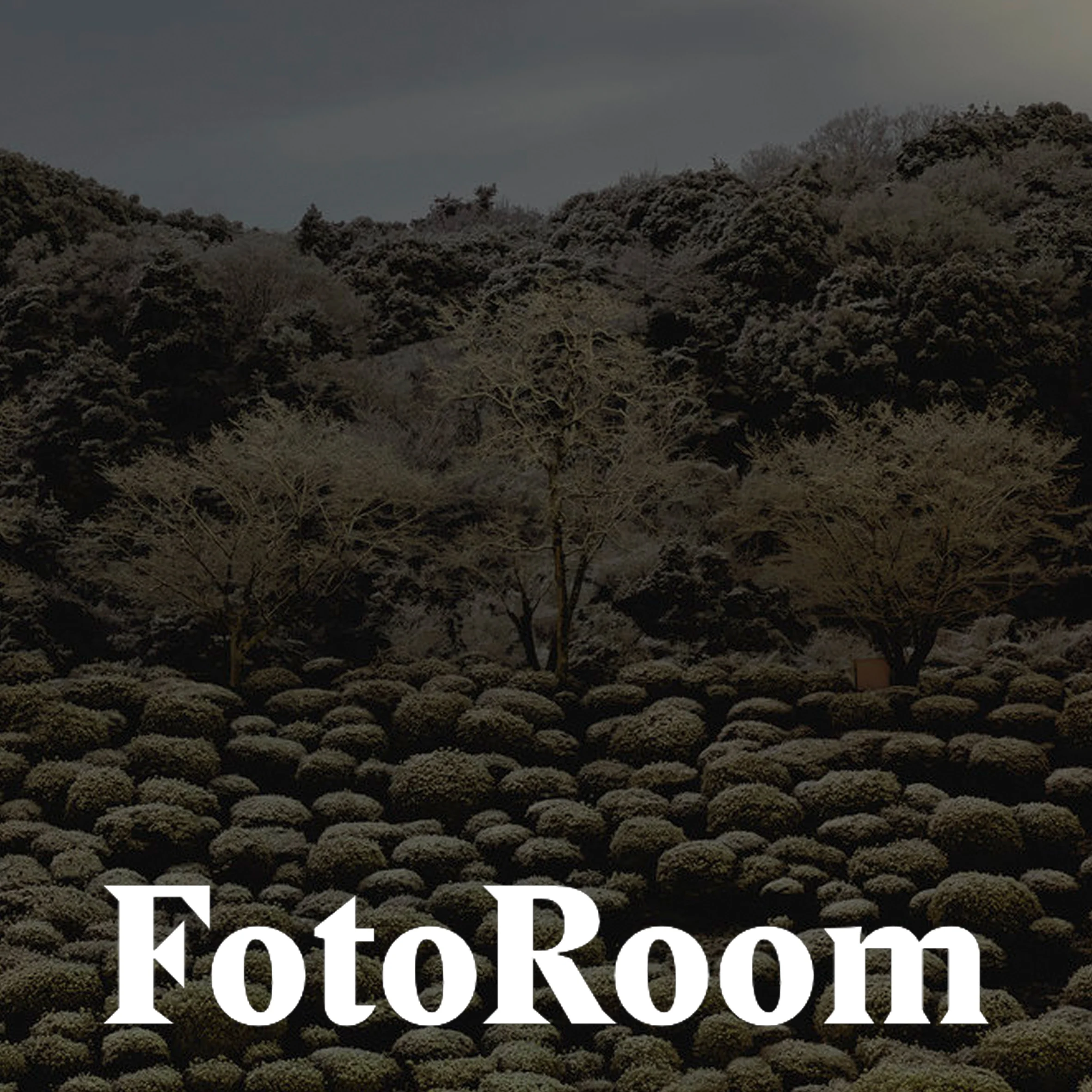 gian_fotoroom.jpg