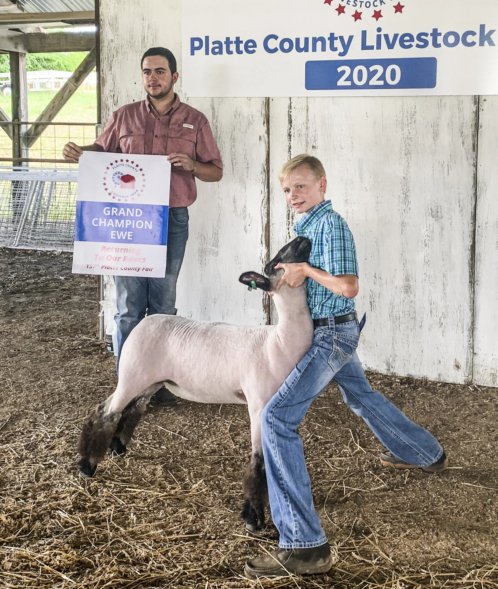 Grand Champion EWE.JPG