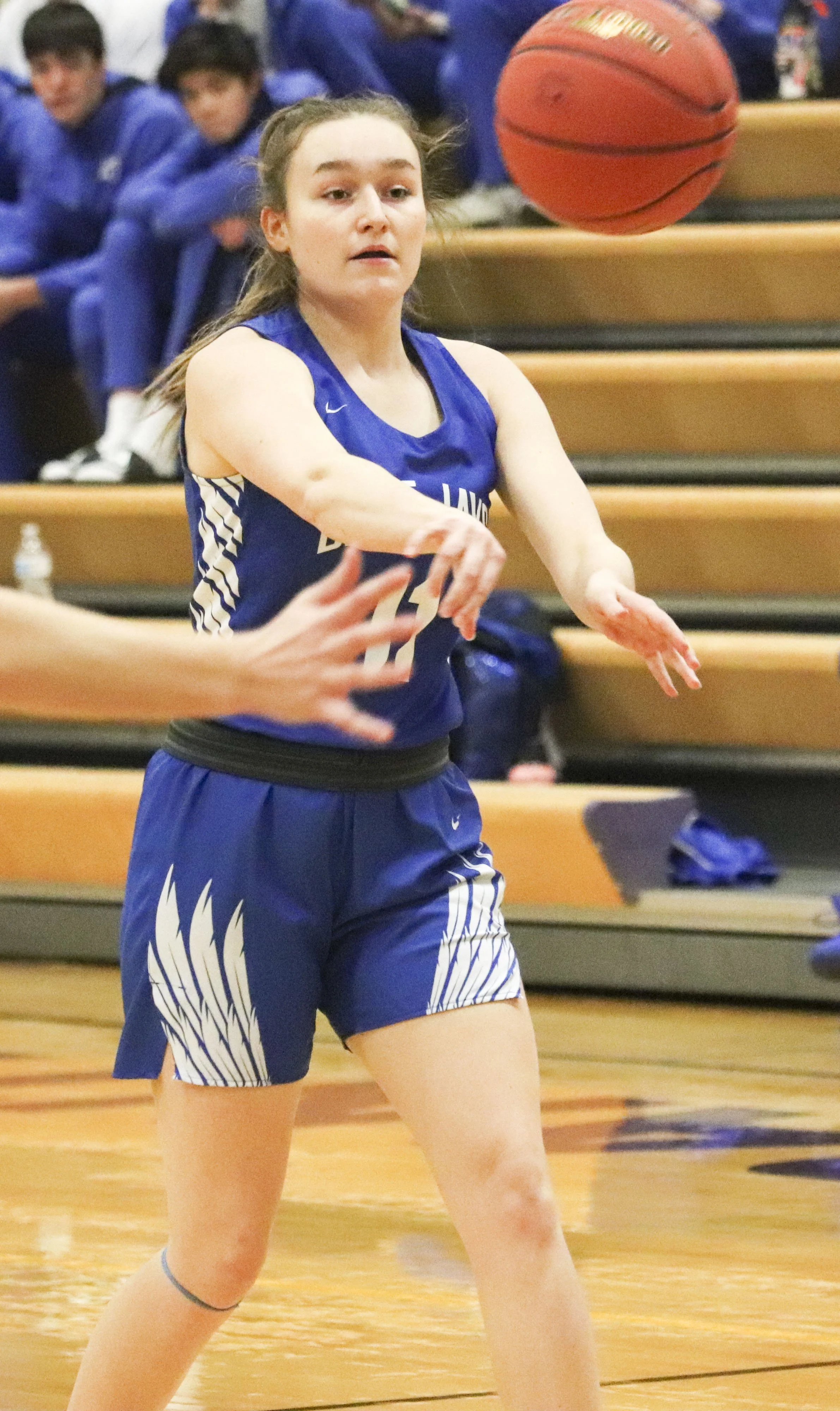 Libby vandel_1.jpg