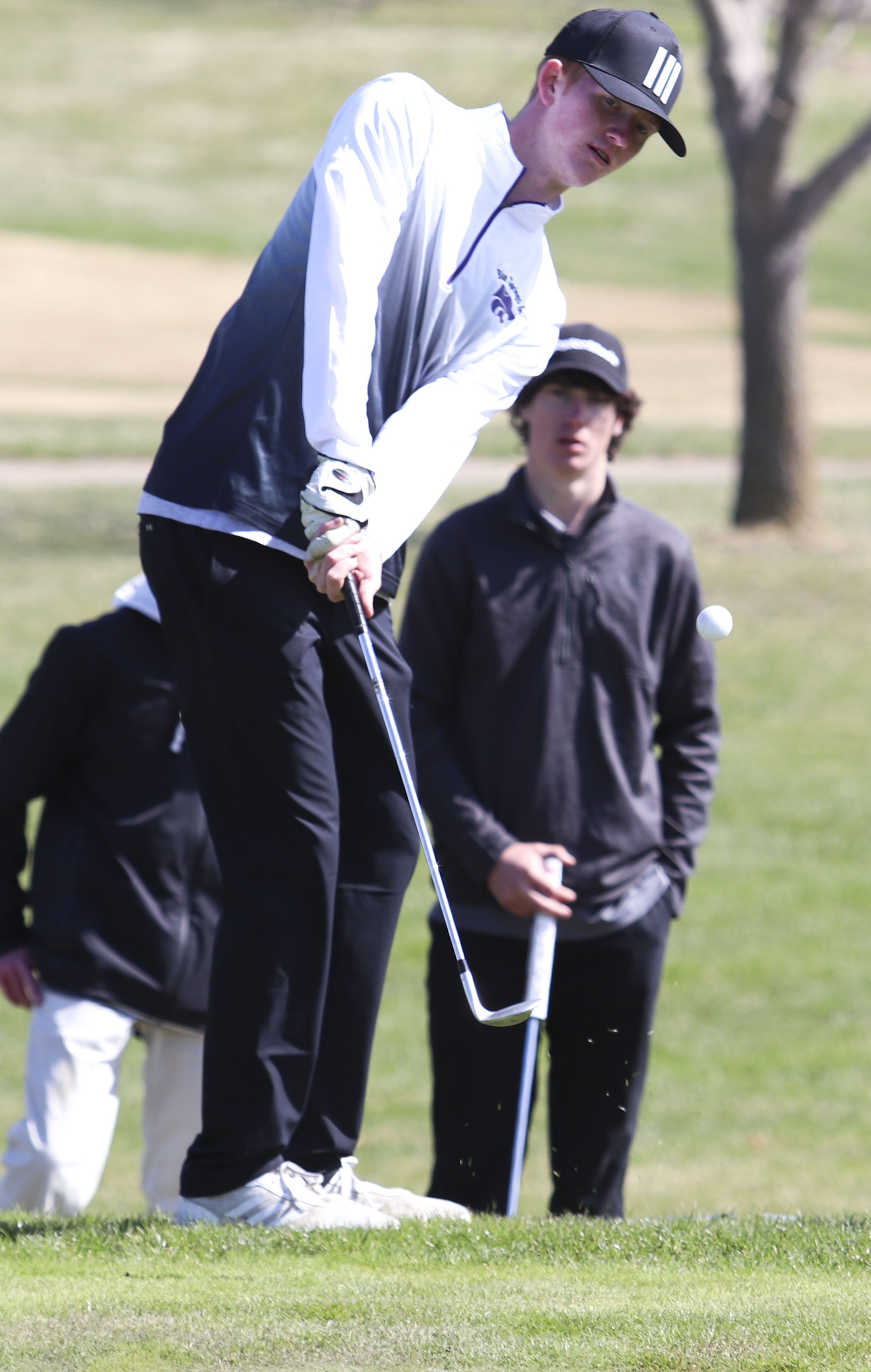 #1 chip.jpg