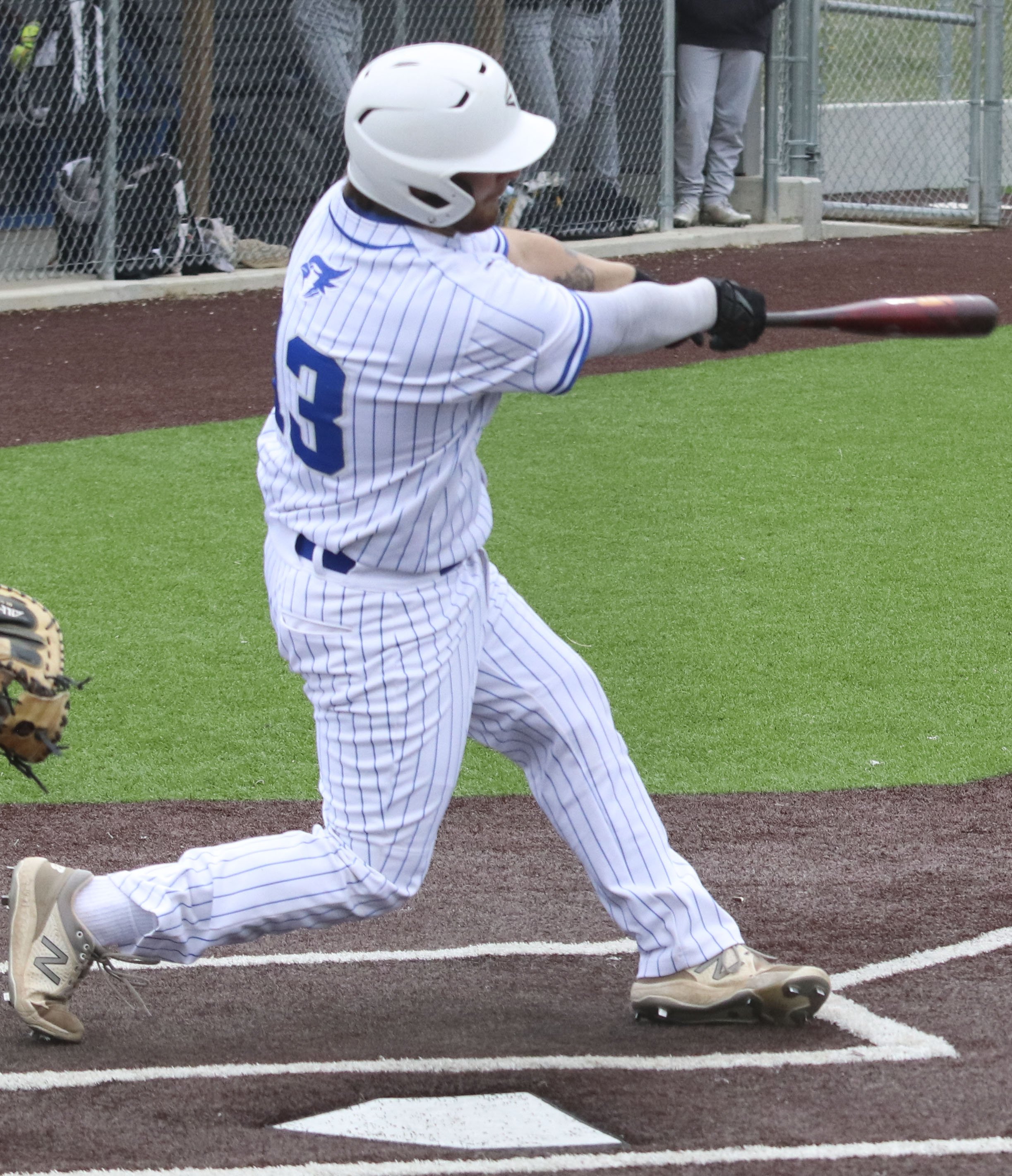 Dublin at bat_2.jpg