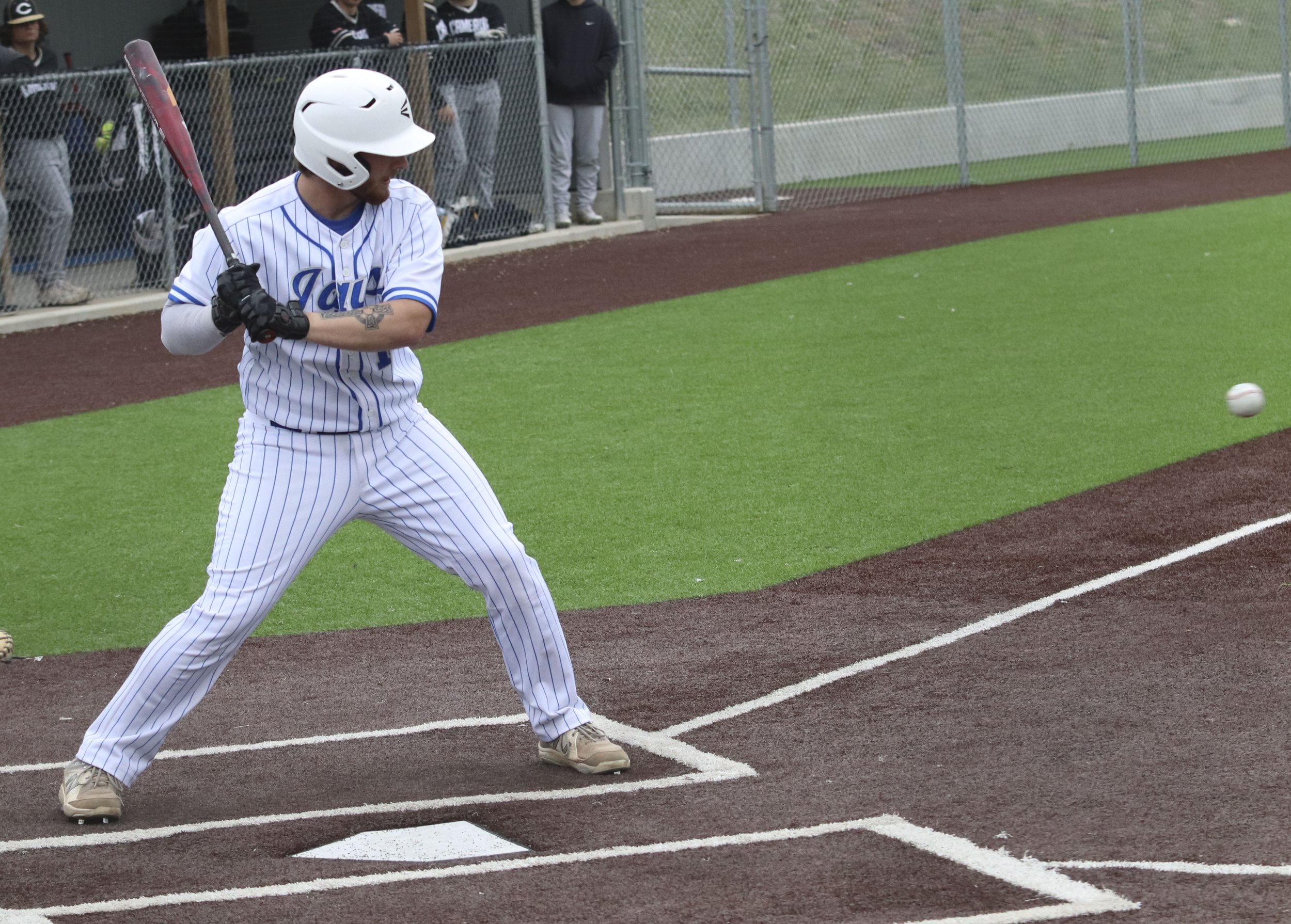 Dublin at bat_1.jpg