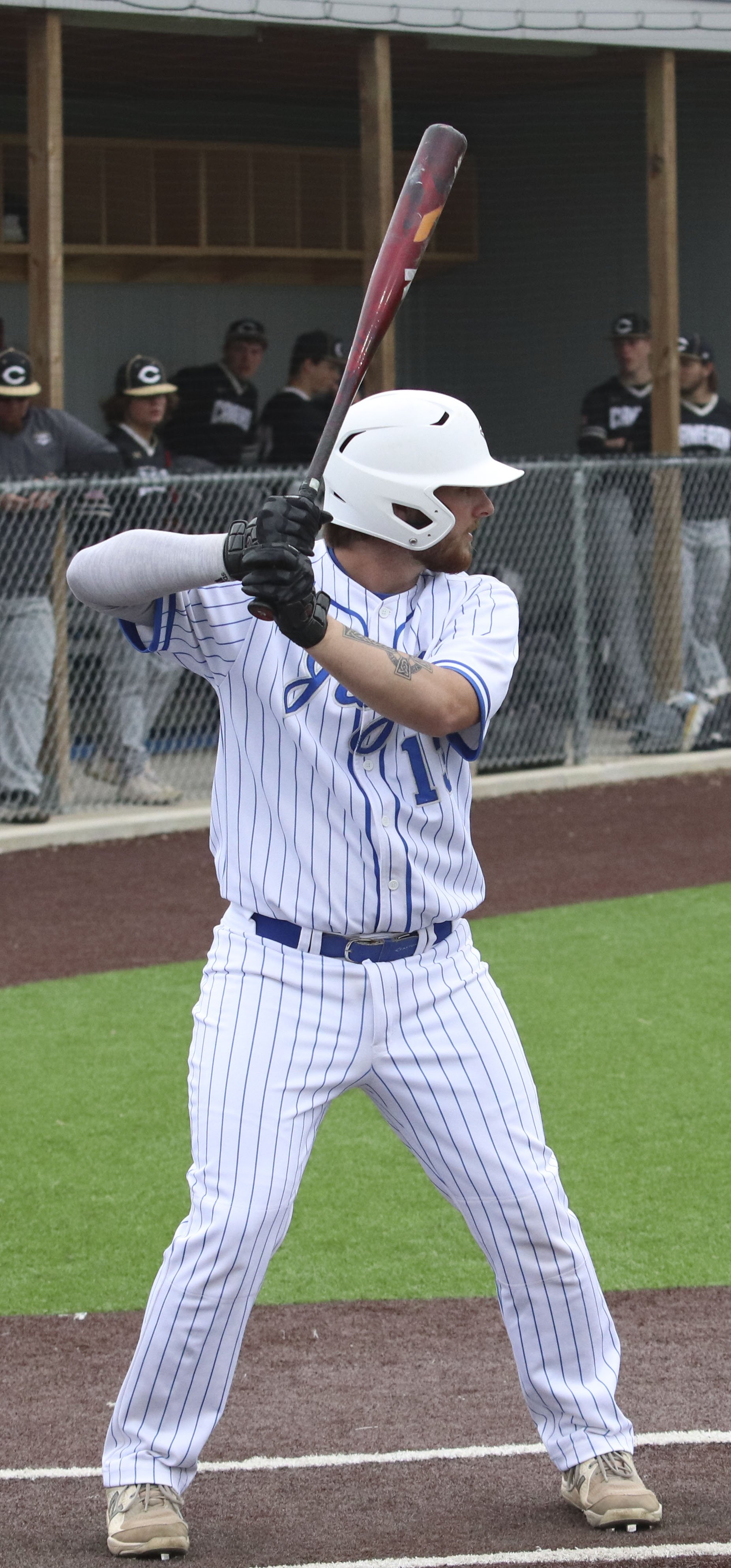 Dublin at bat.jpg