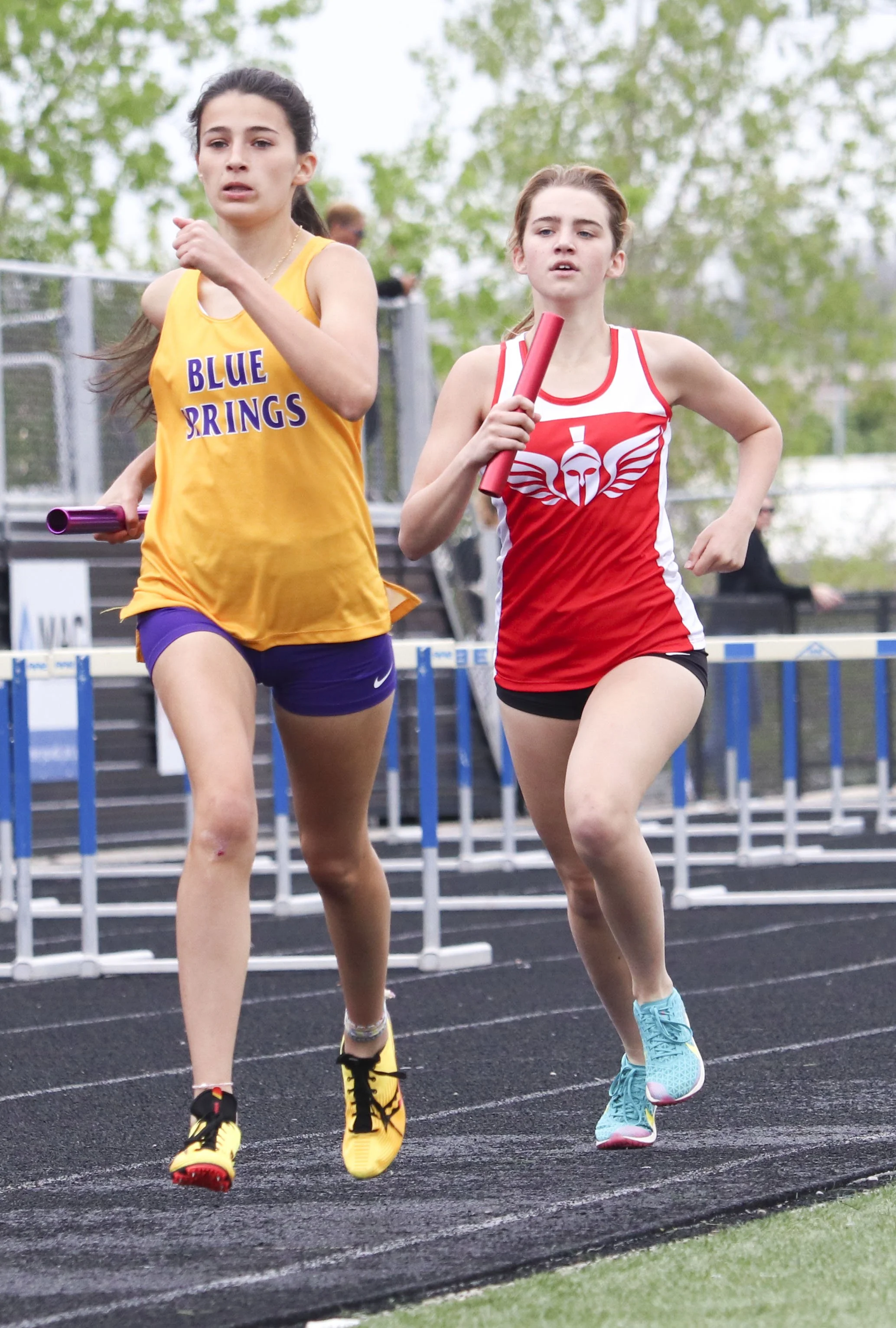 Ava 4x800_1.jpg