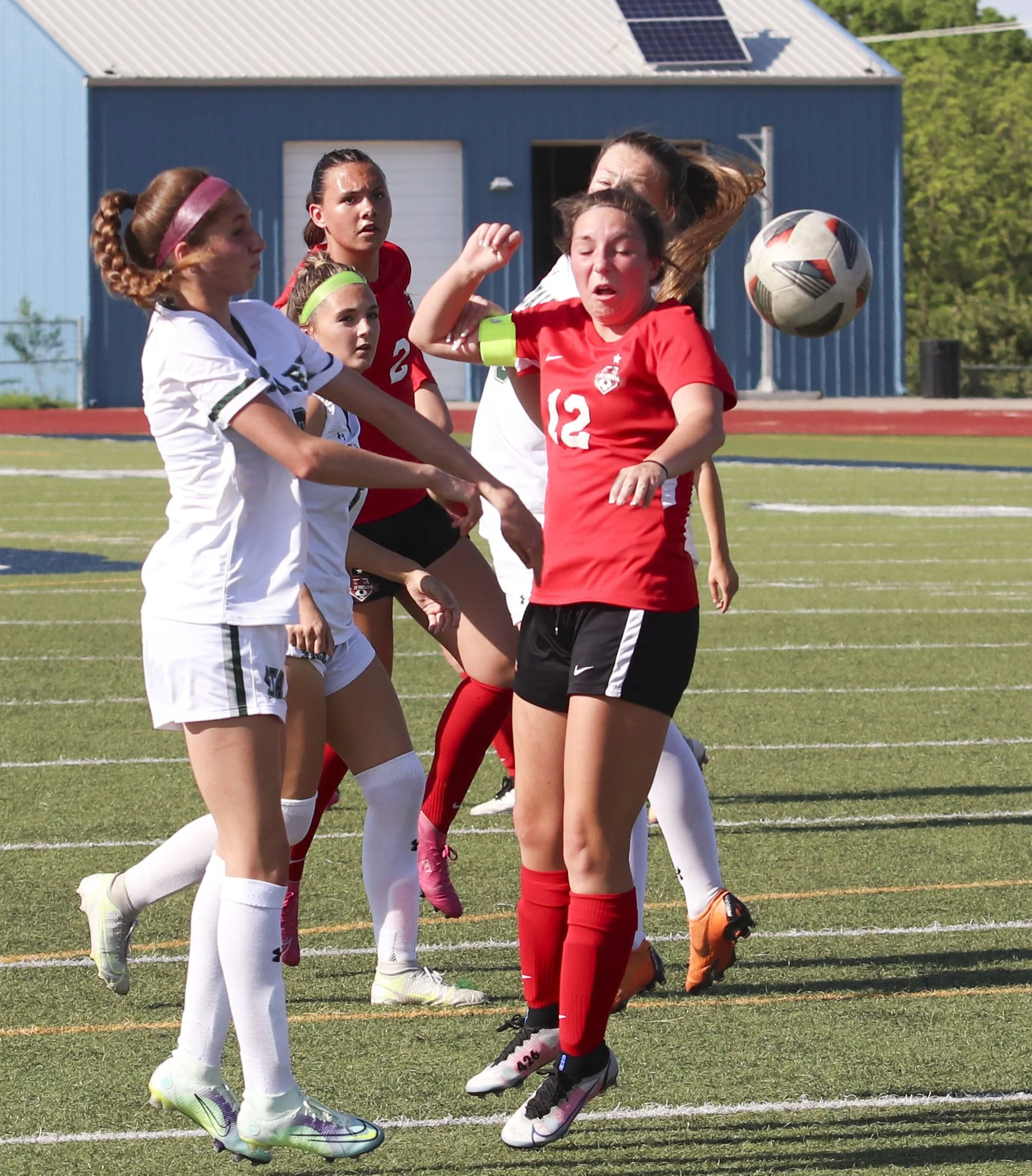 Allison Estanich header.jpg